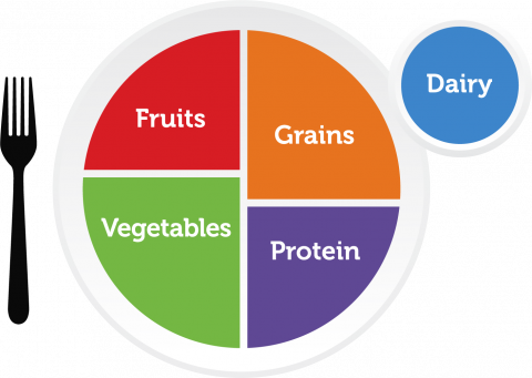 How to Use MyPlate to Build Healthy, Sustainable Eating Habits That Improve Body Composition