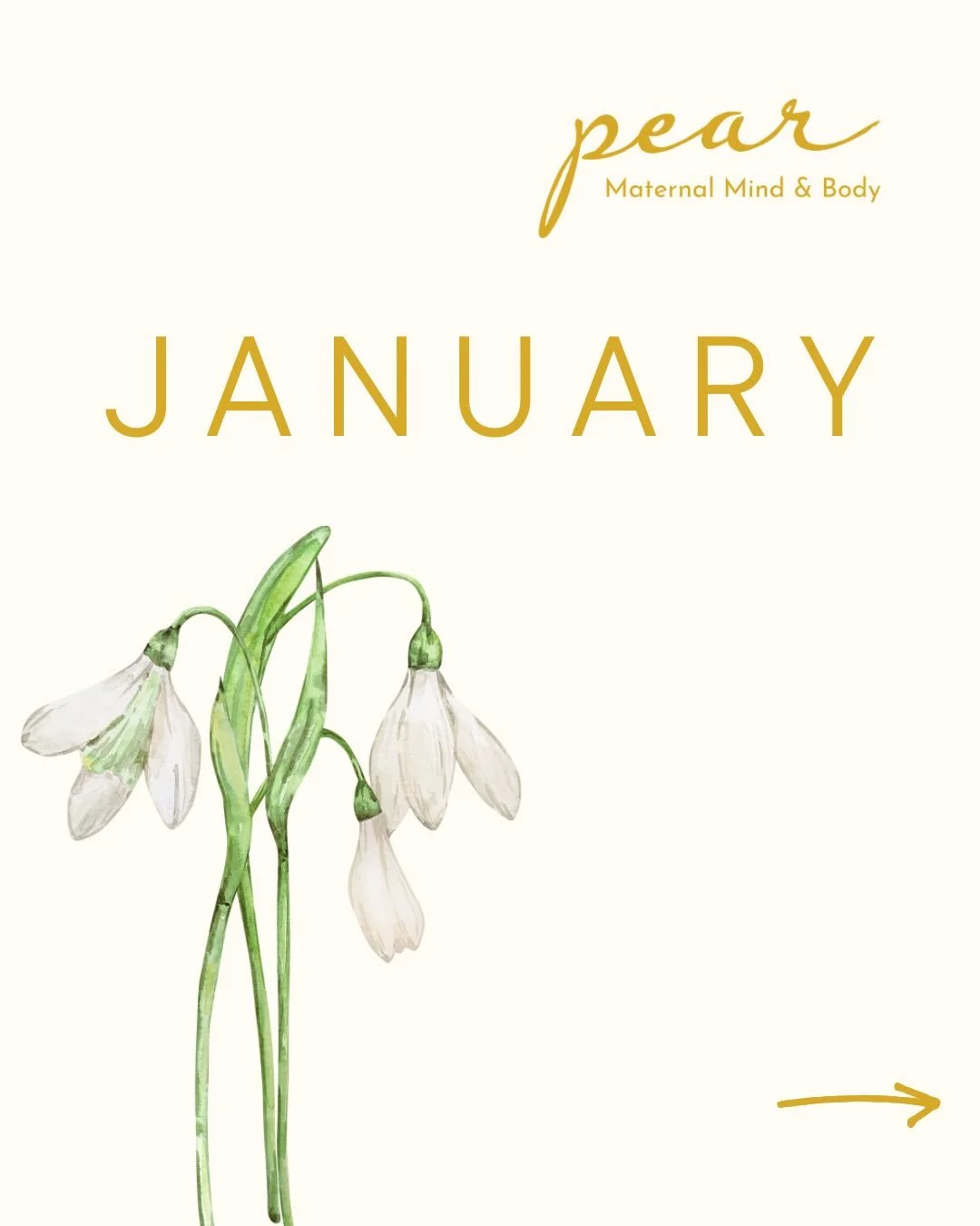 An invitation to release control, soften your grip, and trust what&rsquo;s emerging.

Through counseling, coaching, yoga, groups, and teacher training, we&rsquo;re holding space for a slower, more intentional beginning to the year.💛