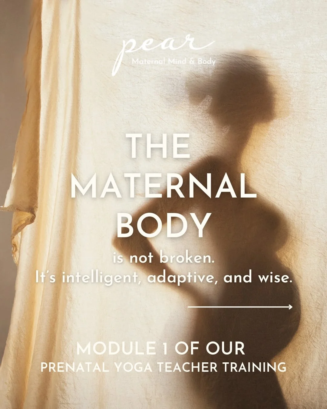 The maternal body is not something to fix.
It is something to understand.

This first module of our Prenatal Yoga Teacher Training The Maternal Body is for anyone who wants to feel more informed, empowered, and at home in themselves during pregnancy,