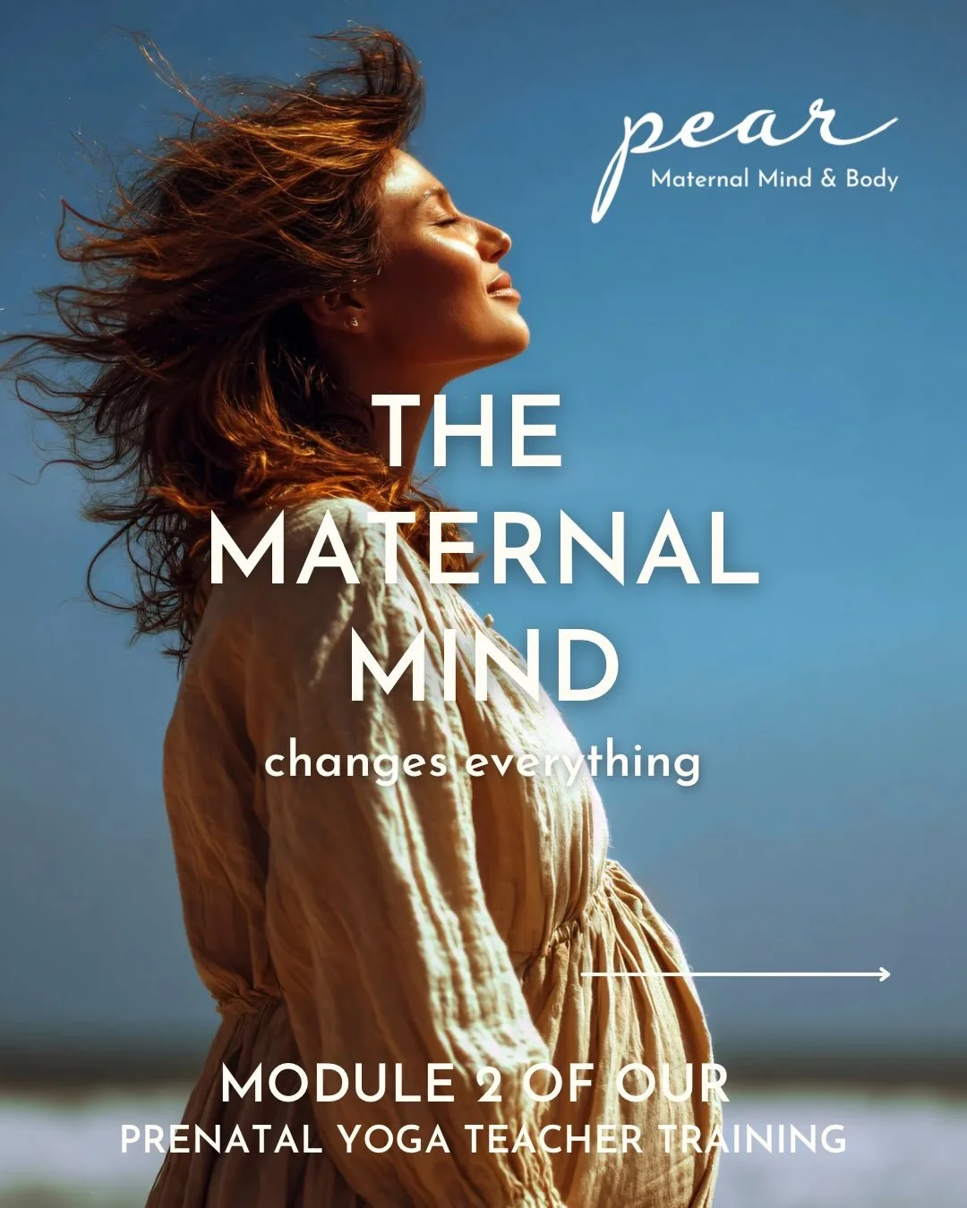 The maternal mind deserves just as much care as the maternal body.

Module 2 of our Prenatal Yoga Teacher Training&mdash;The Maternal Mind&mdash;is devoted to understanding the real neurological, emotional, and nervous system changes that occur durin