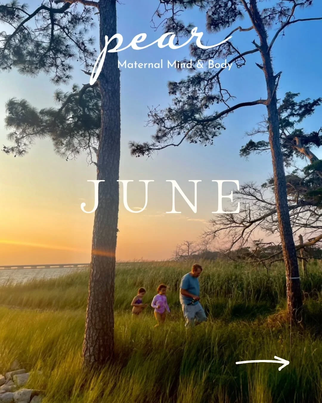 June arrives with longer days, warmer light, and an invitation to soften our grip.

This month is often associated with growth, abundance, expansion, and the fullness of life, not because everything is perfect, but because we begin to see the fruits 