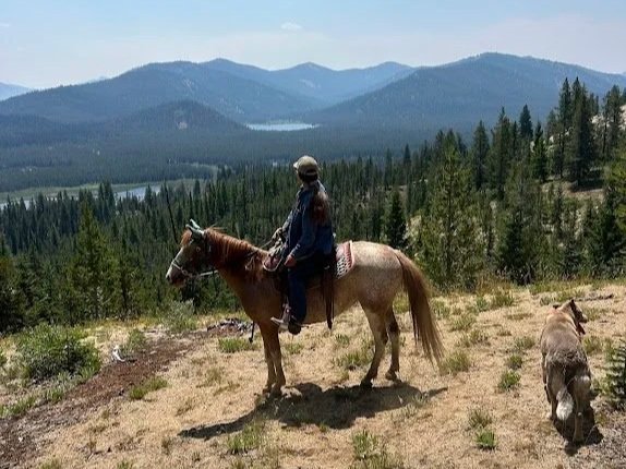 What 20 years of backcountry horseback riding has taught me.
