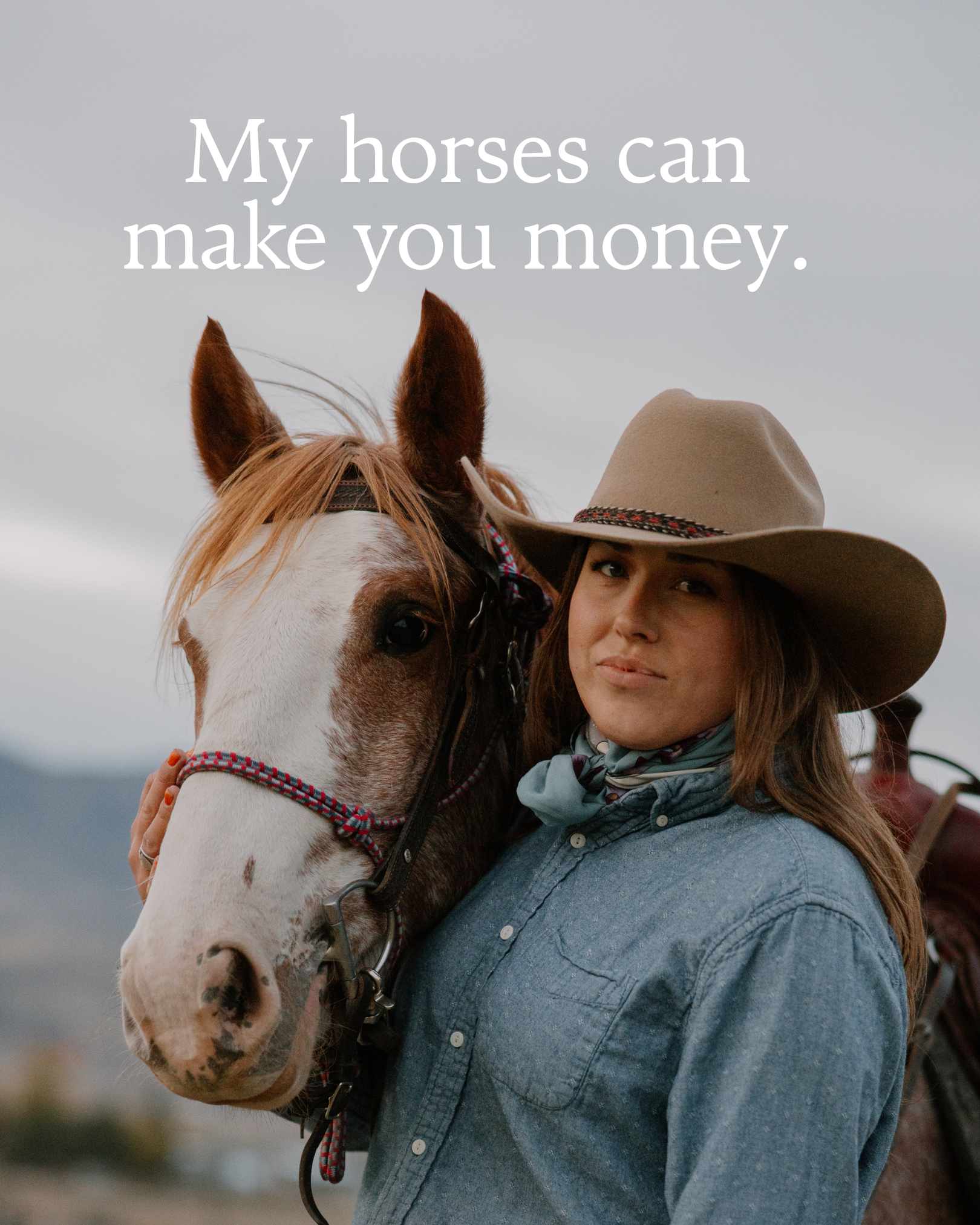 My Horses Can Make You Money
