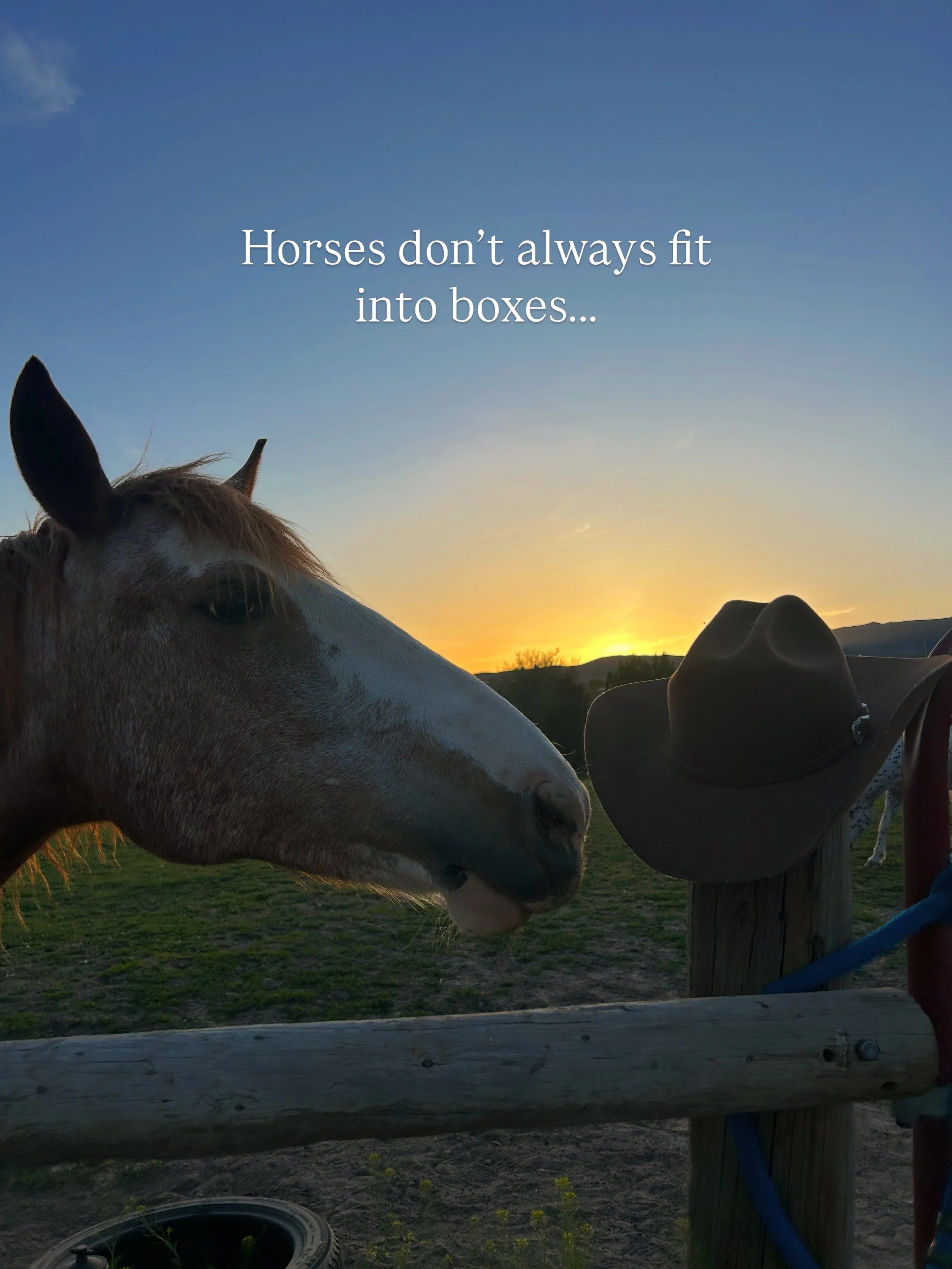Mustang and cowboy hat
