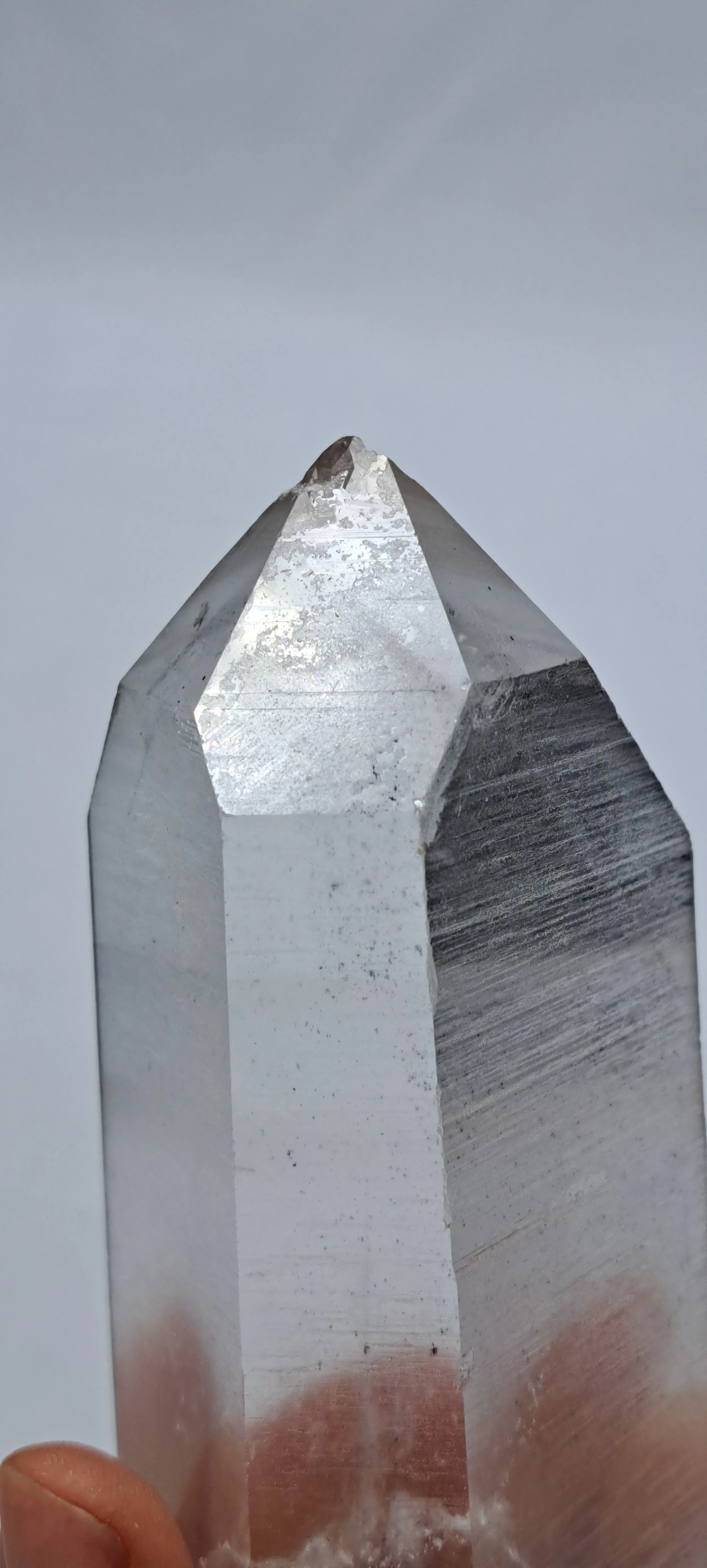 Phantom lemurian.jpg