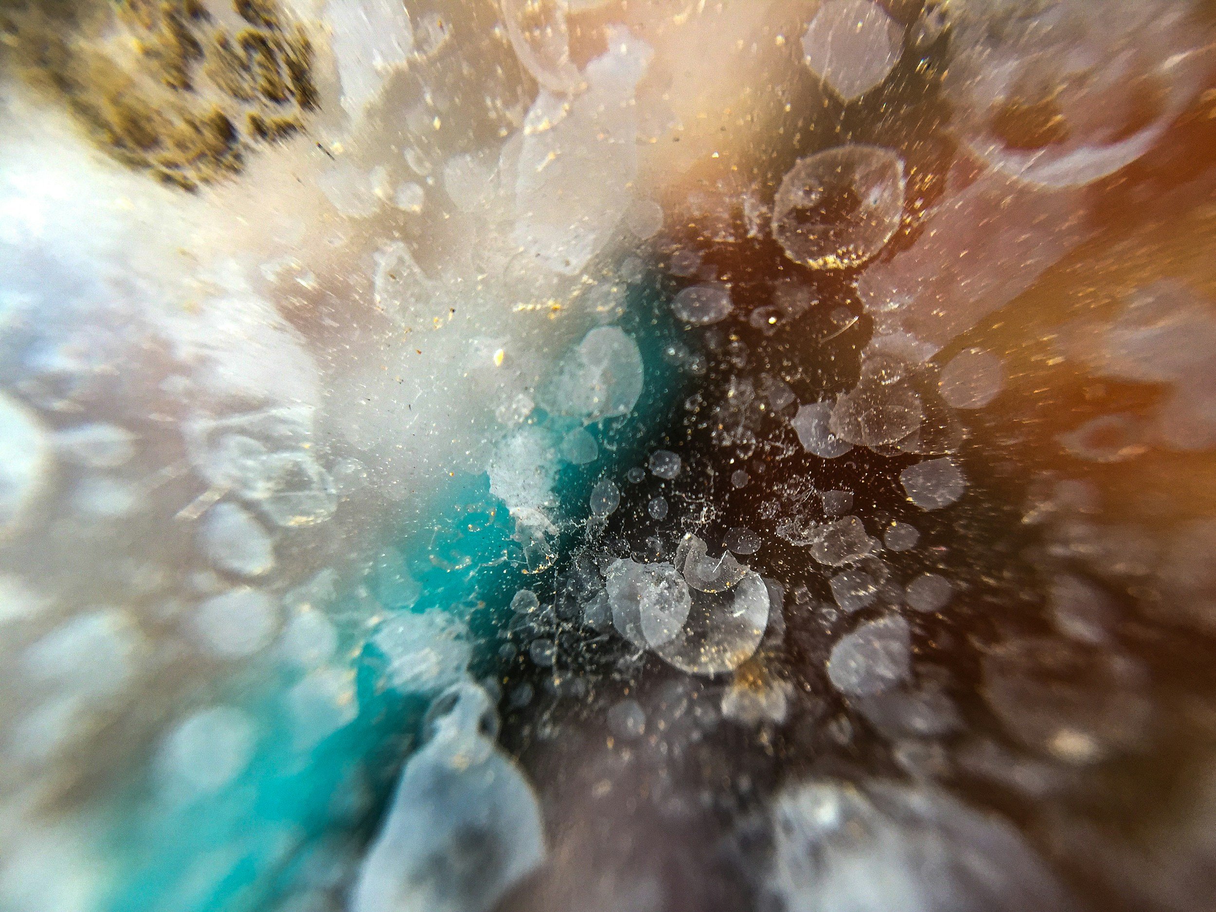 MINERALFEST