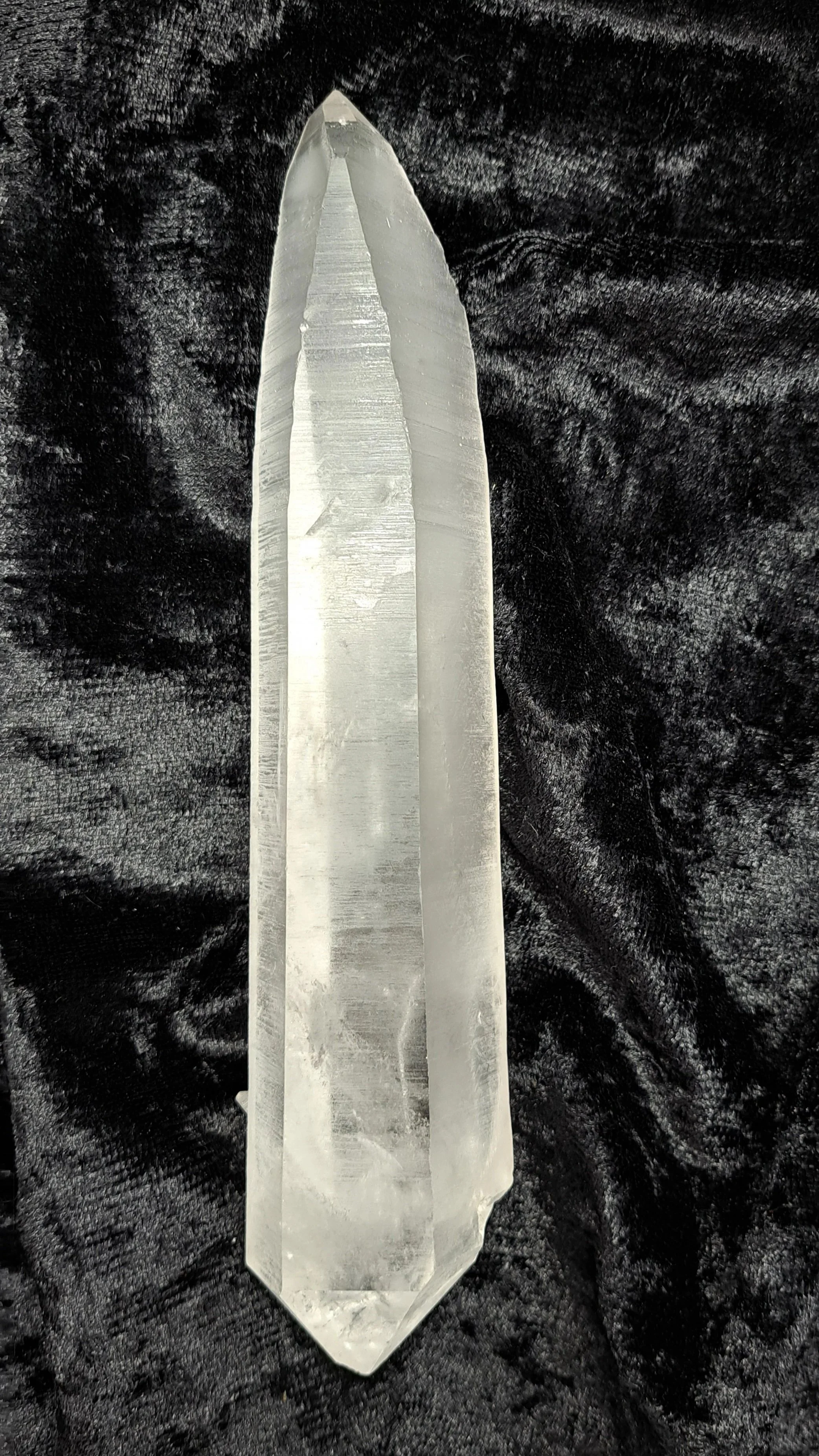 Lemurian3.jpg