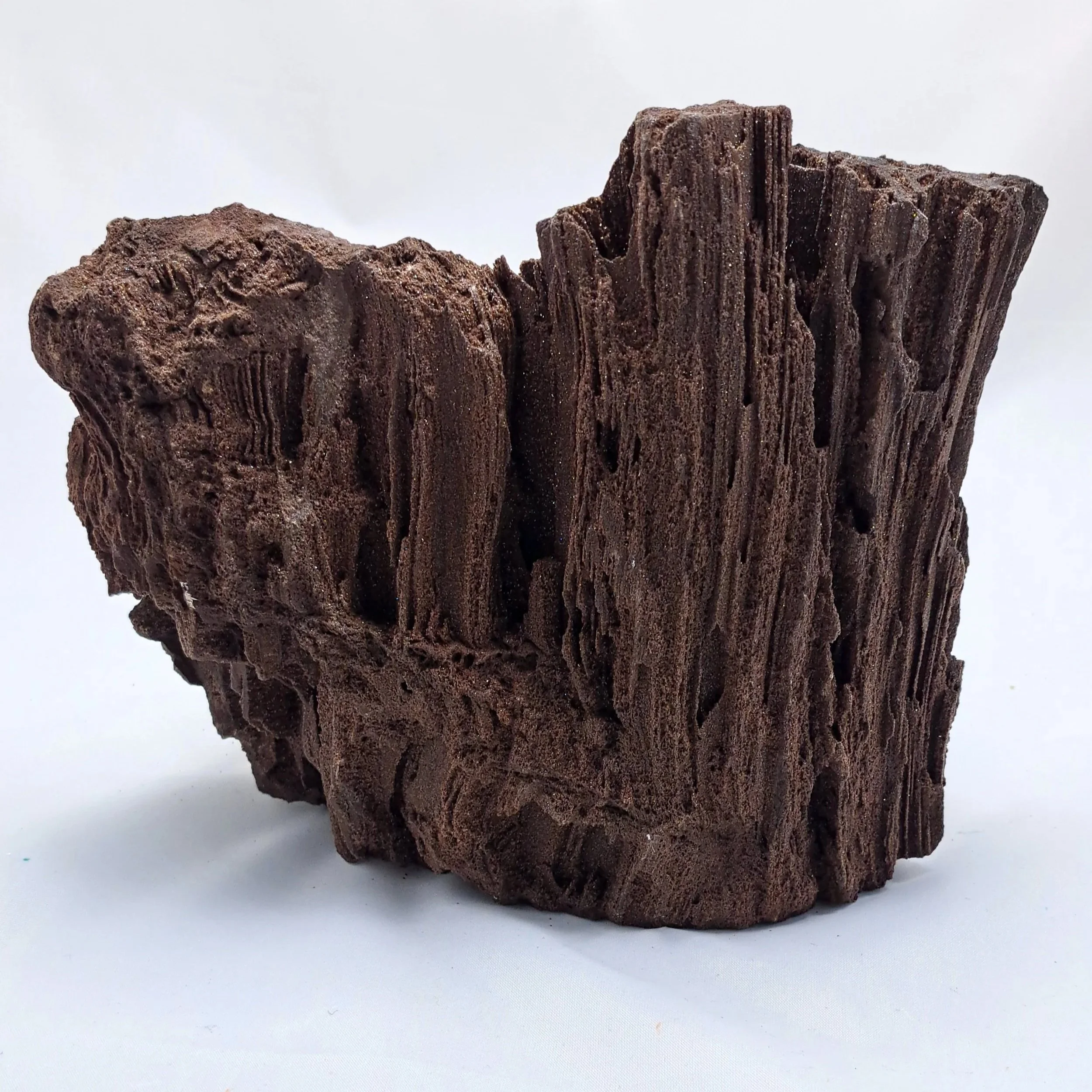 Permineralized_wood.jpg