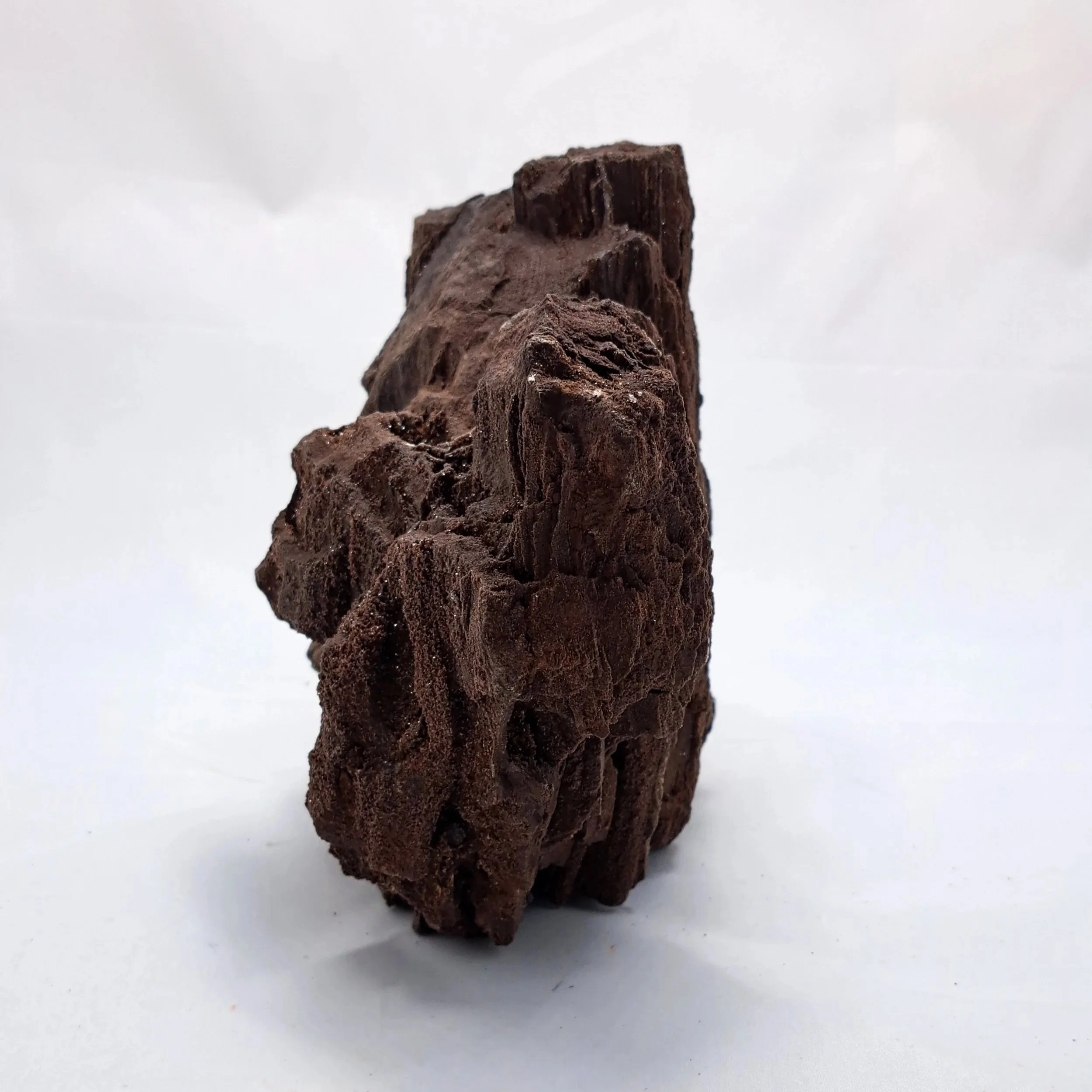 Permineralized_wood3.jpg