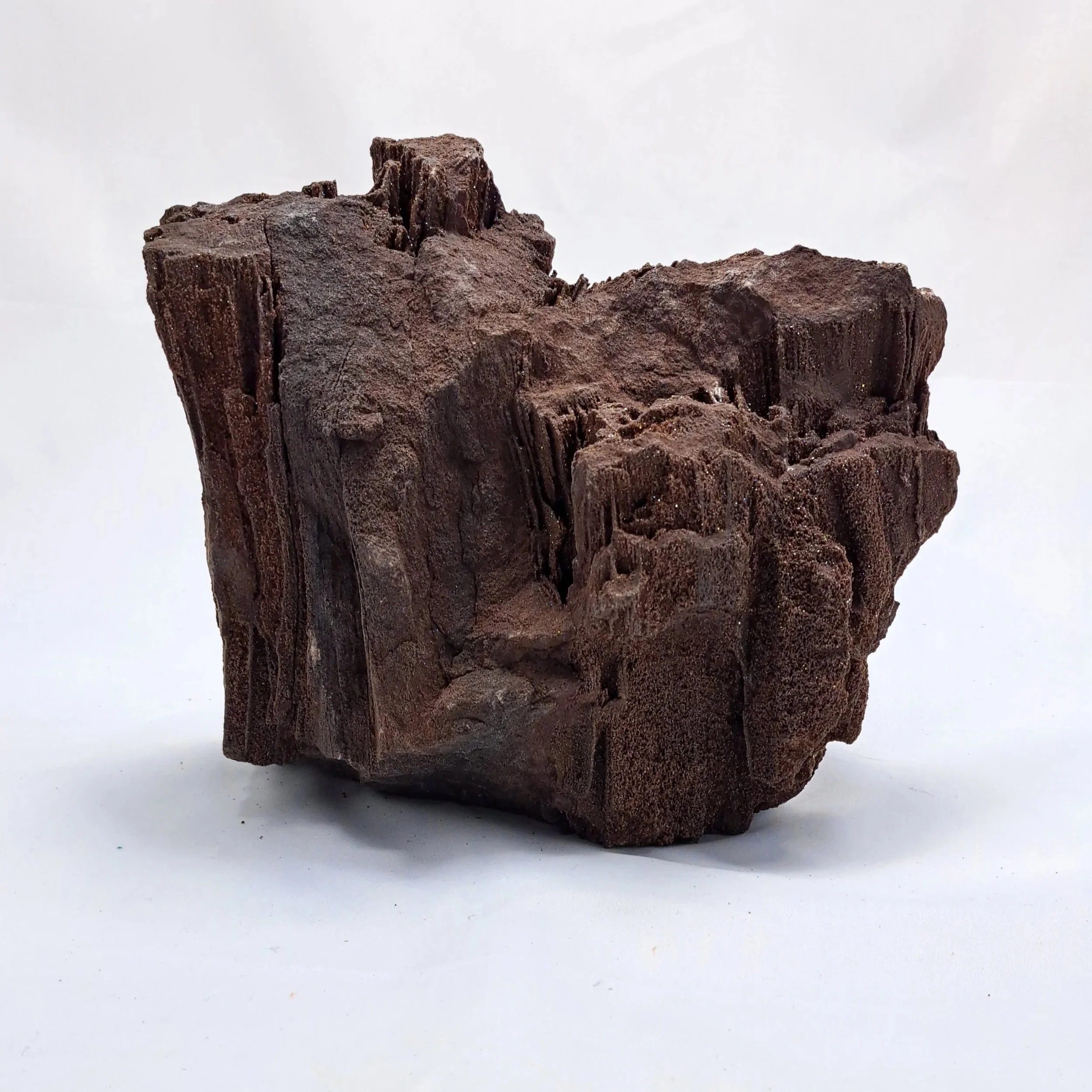 Permineralized_wood2.jpg