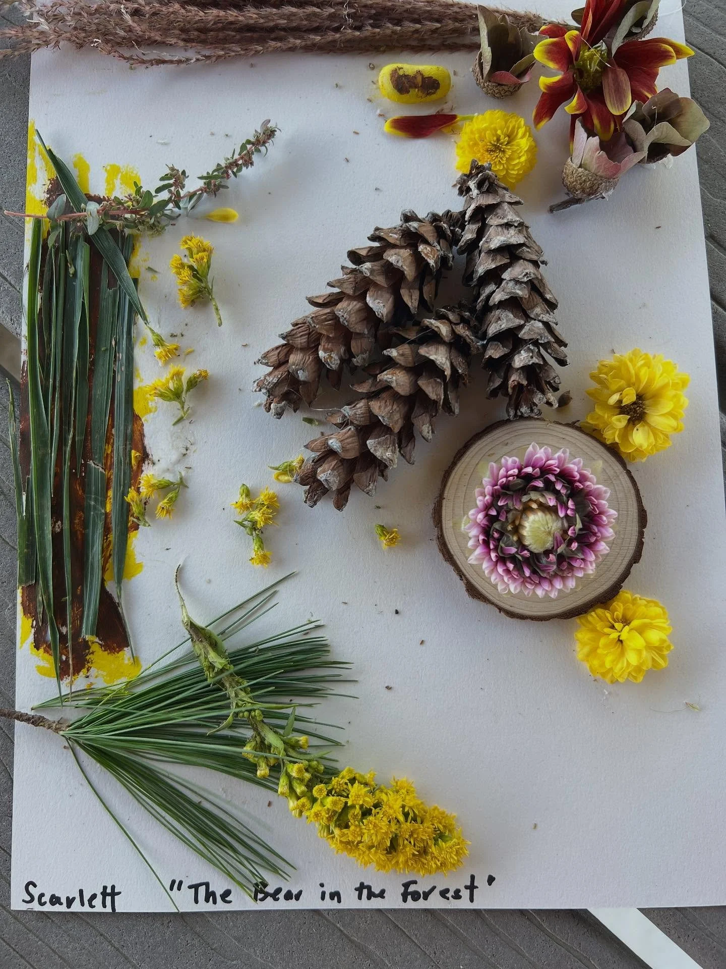 A sweet Sunday spent with creative littles and lovely grown-ups. What&rsquo;s better than gathering together to work with beautiful petals, leaves, acorns and other natural objects?  Join us Oct. 12 for another session of nature-based art with a twis