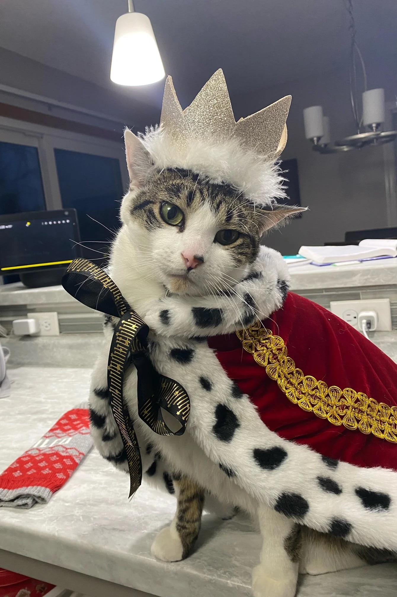 Canine King & Queen Crowning