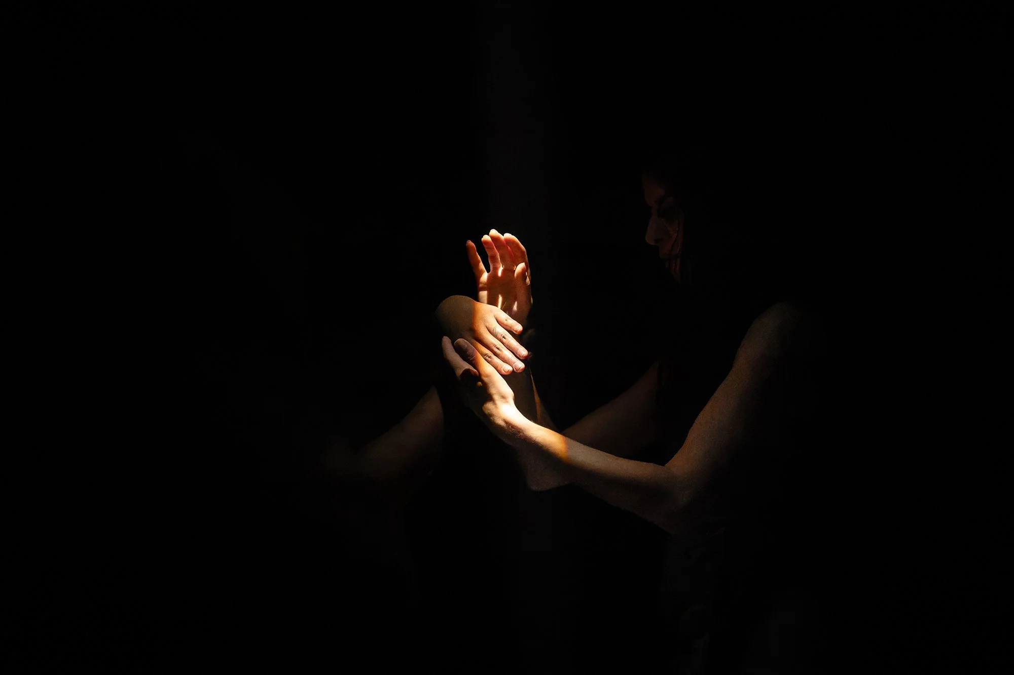 Those Roots Within_DCW3565.jpg