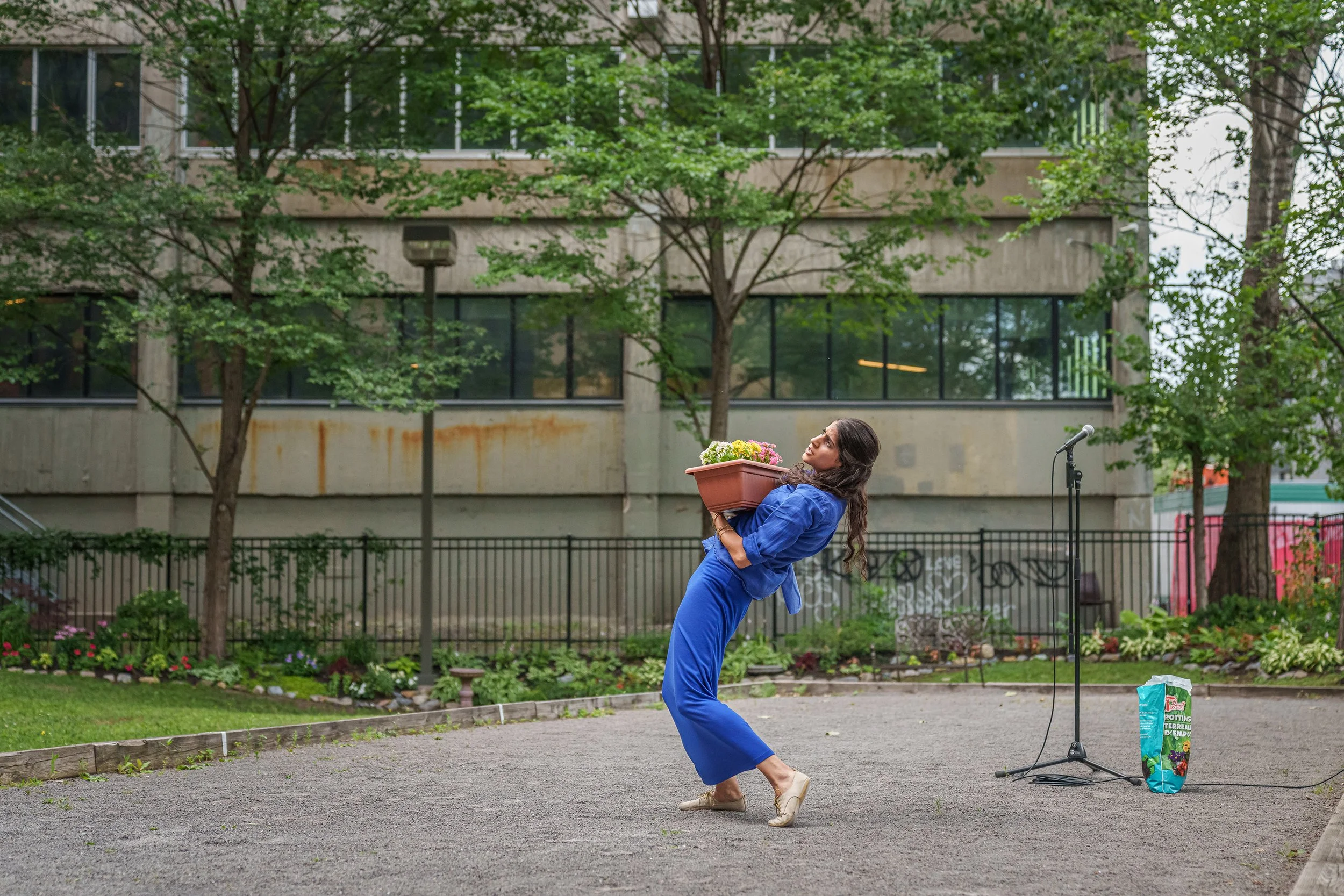 Backyard Solos_Residence Mile End_Photo by David Wong (20).jpg