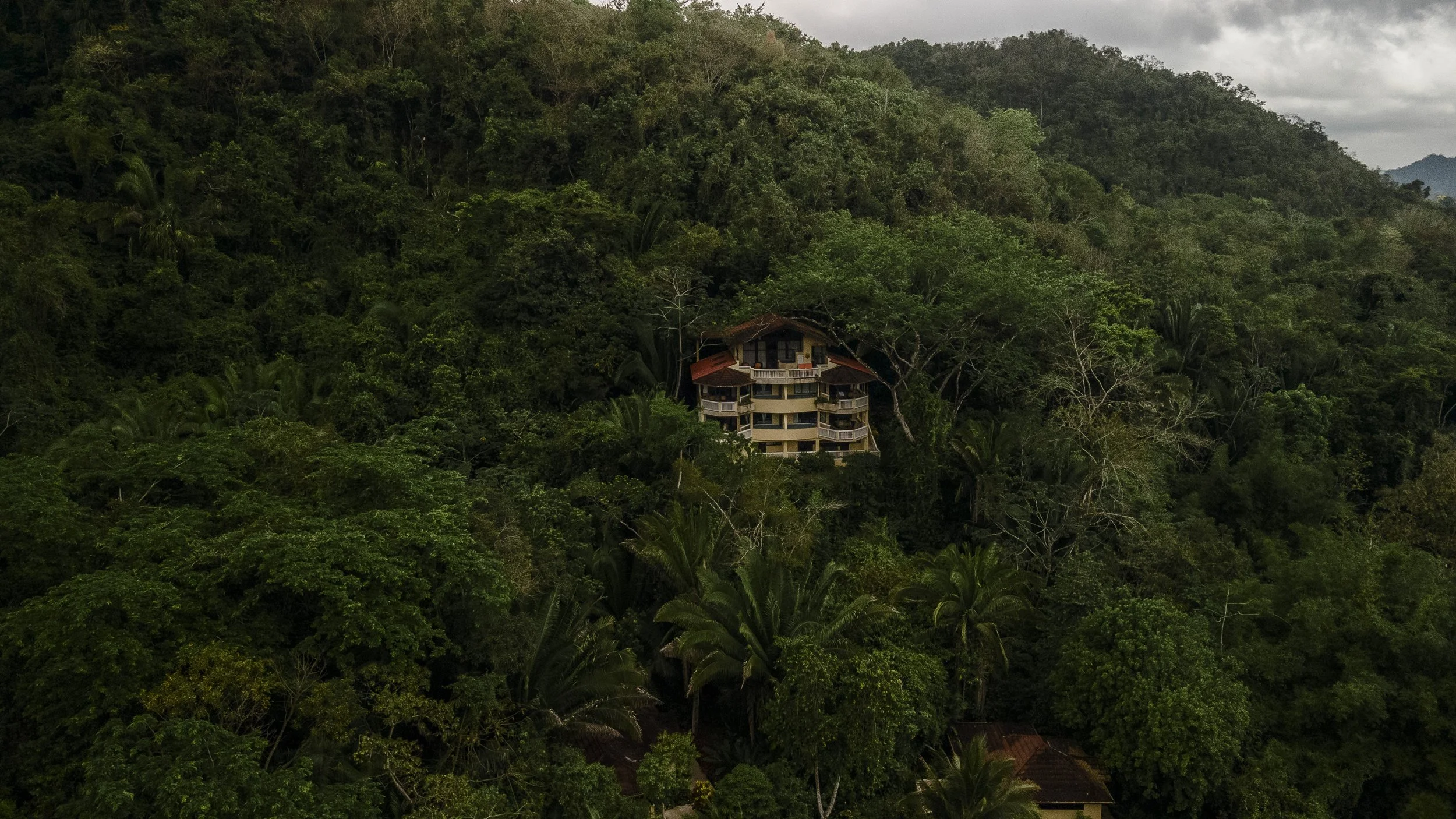 Rainforest Lodge Drone Photos-5.jpg