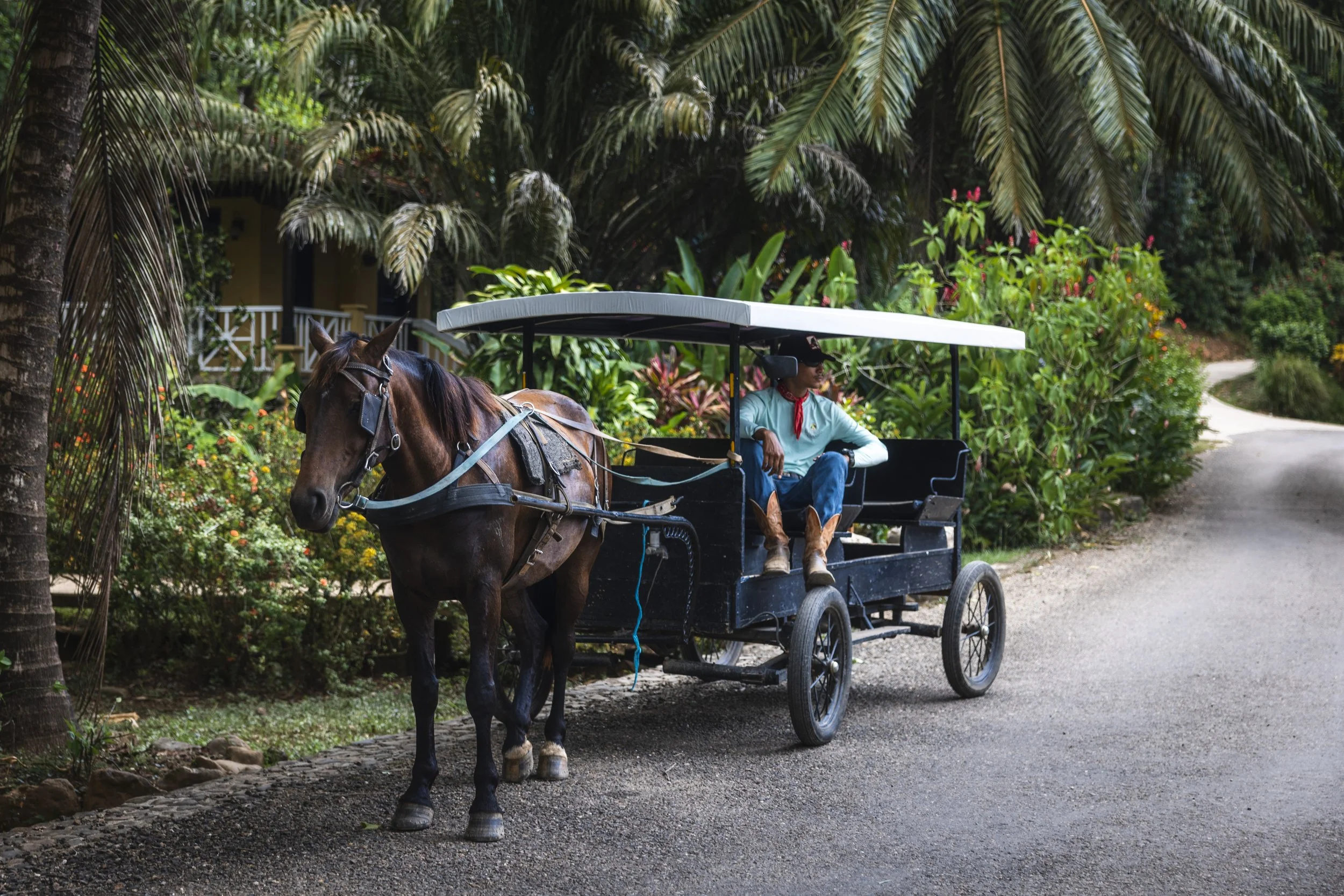 Rainforest Lodge Edits 1-19.jpg