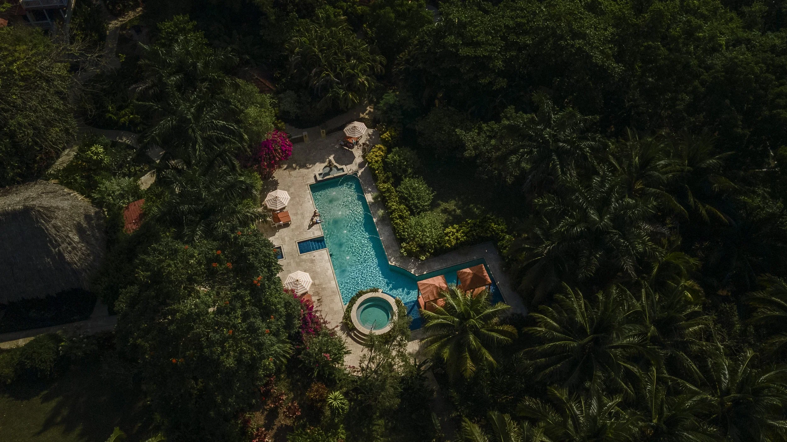 Rainforest Lodge Drone Photos-3-2.jpg