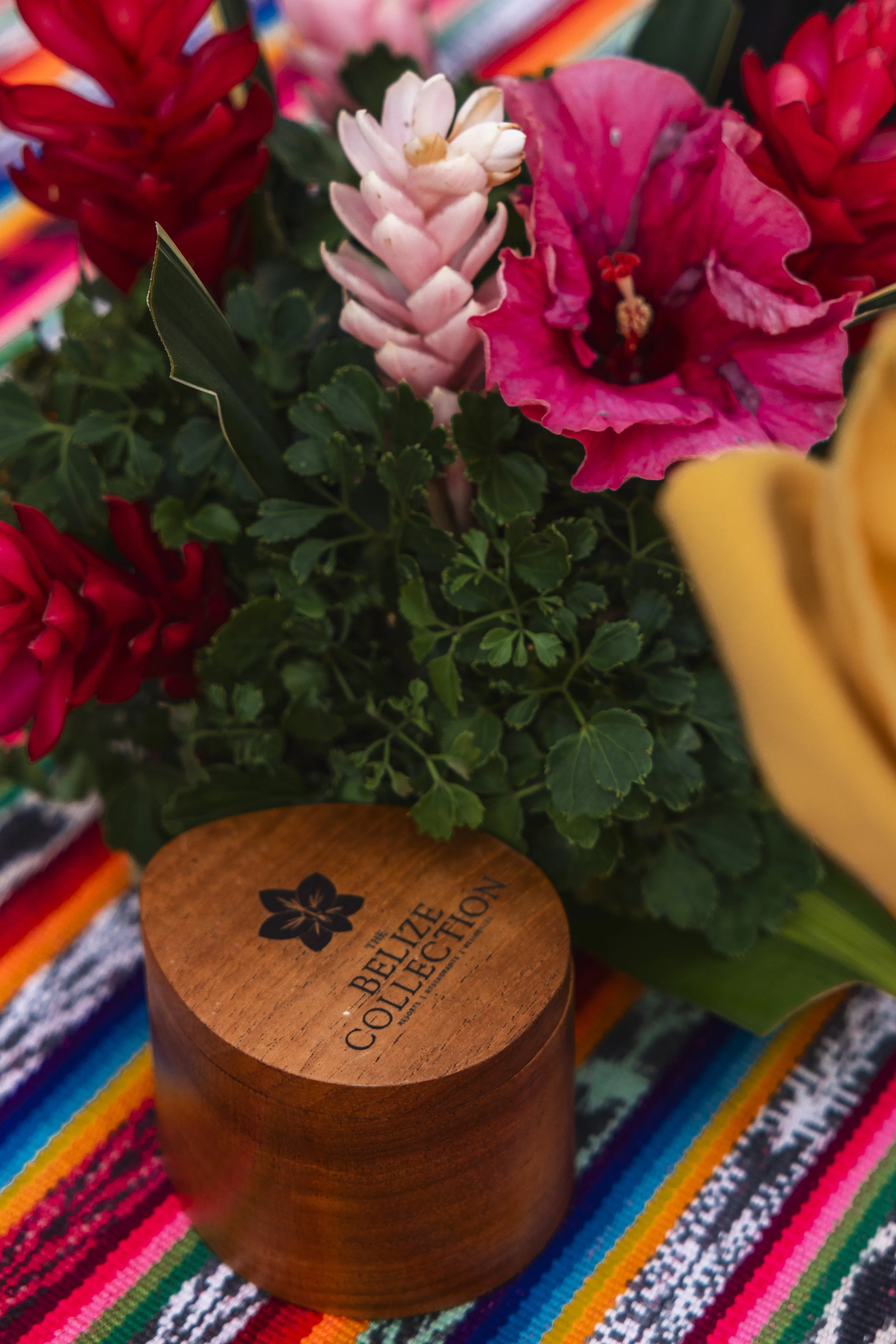 Rainforest Lodge Edits 1-14.jpg