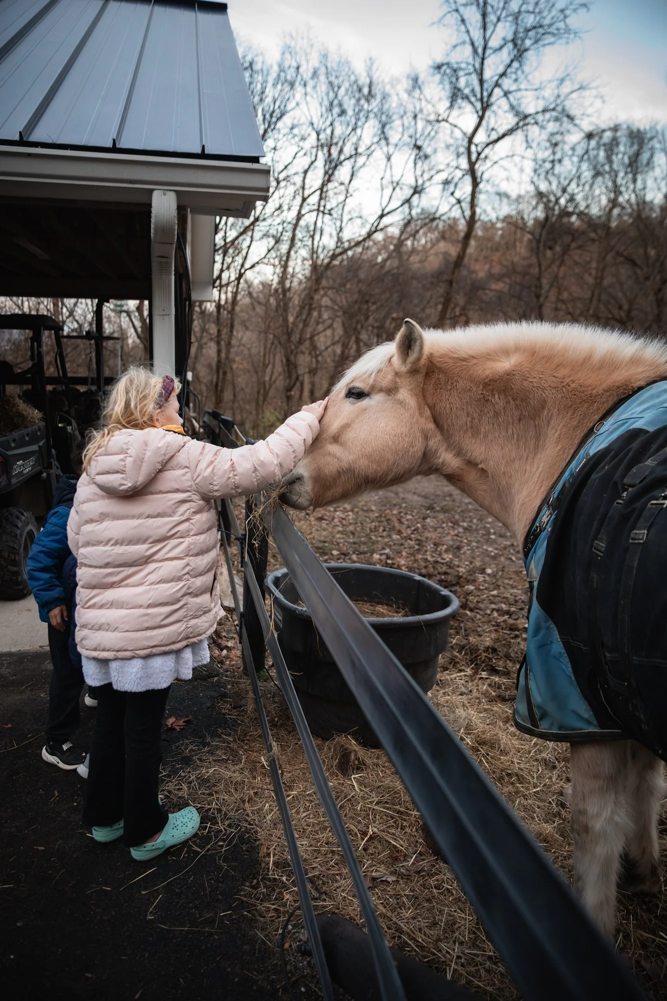 A young girl petting a palomino horse behind a safety barrier at a farm or ranch, with trees in the background and a cloudy sky.
