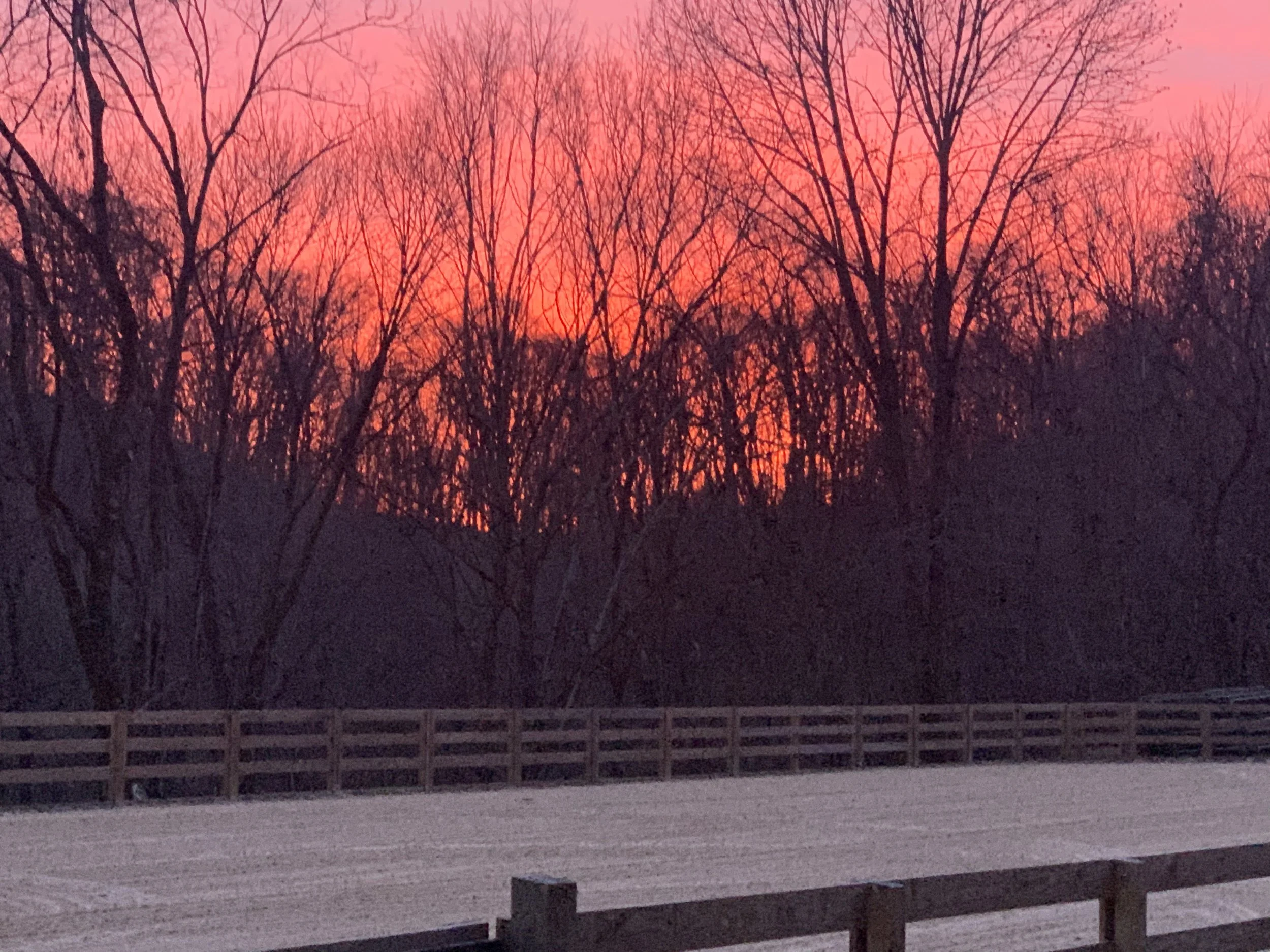 A sunset sky with orange and pink hues behind leafless trees, with a snow-covered ground and wooden fencing in the foreground.
