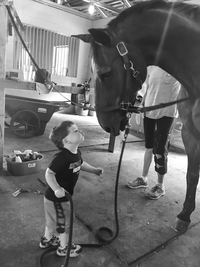 A young boy looking up at a large horse inside a stable or barn. The boy holds a jump rope, and the horse is wearing a halter and lead rope. There are other people and cleaning supplies in the background.