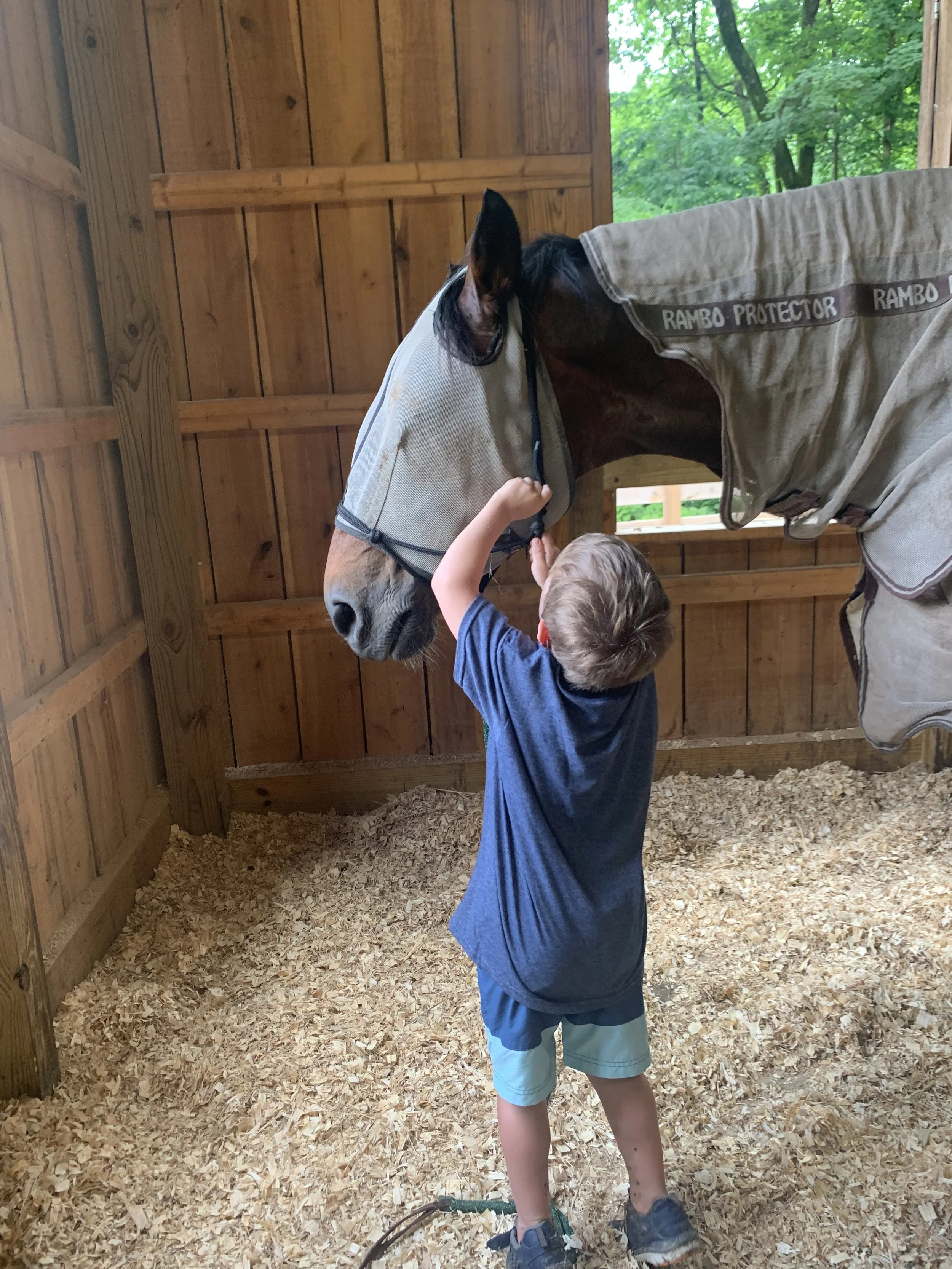 A young boy petting a brown horse inside a wooden stable.