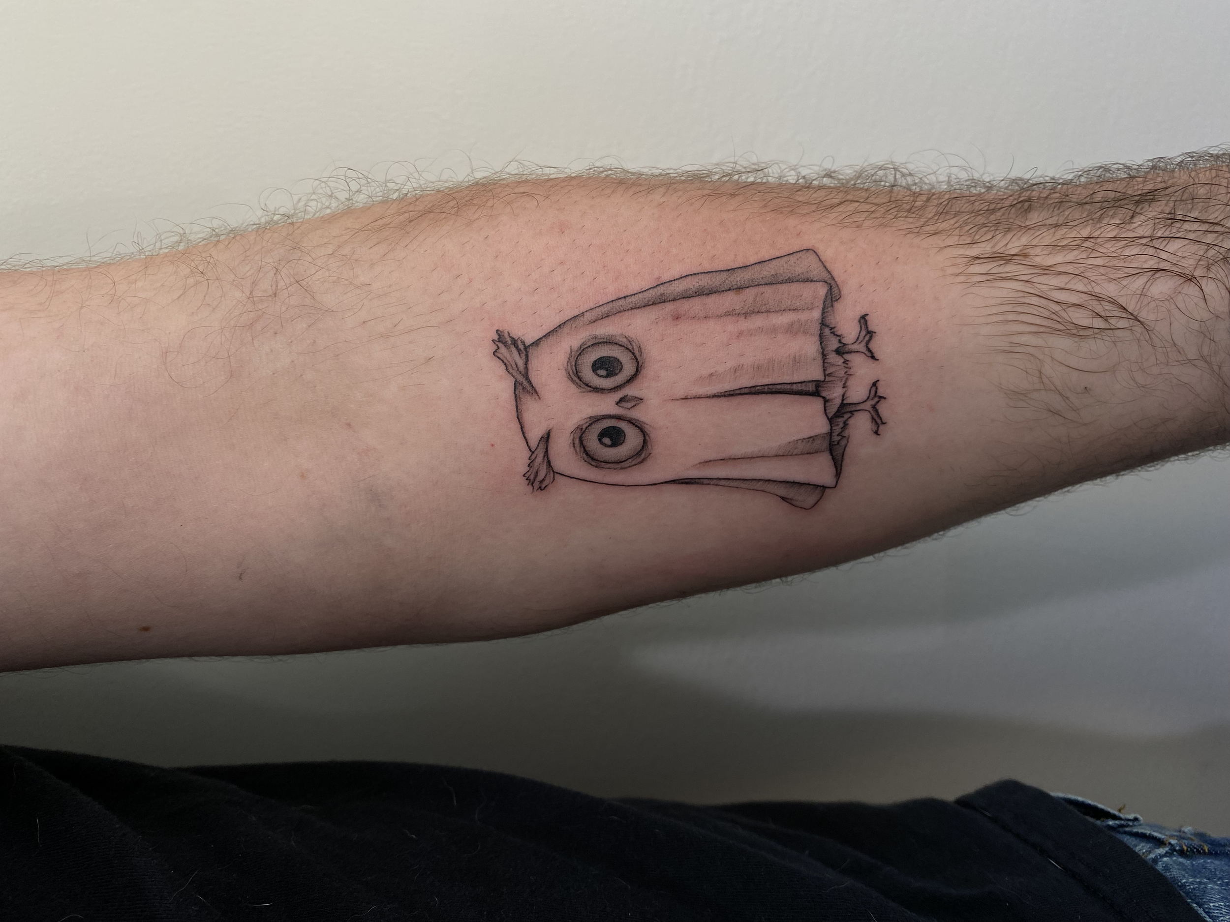 Cute Cartoon Owl Design By Dr.Hudson