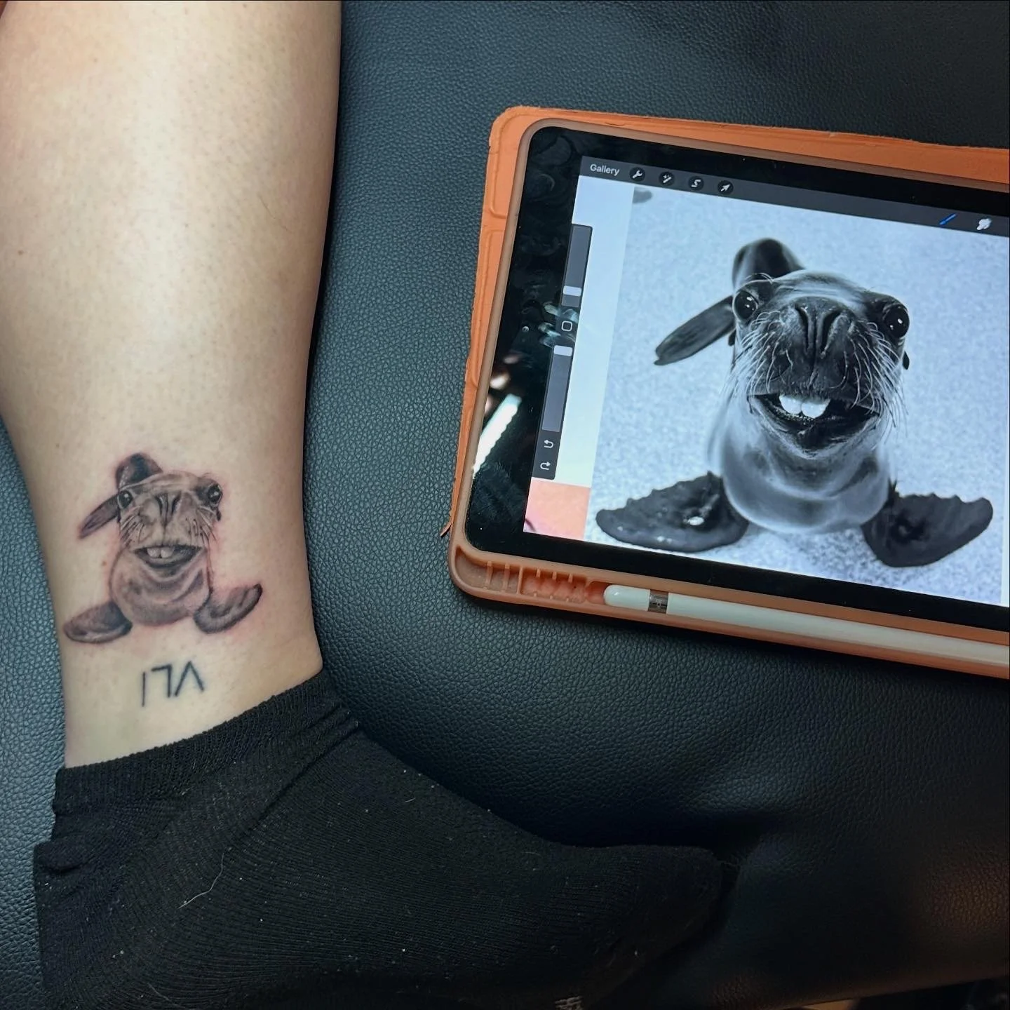 Animal Portrait By Dr. Hudson