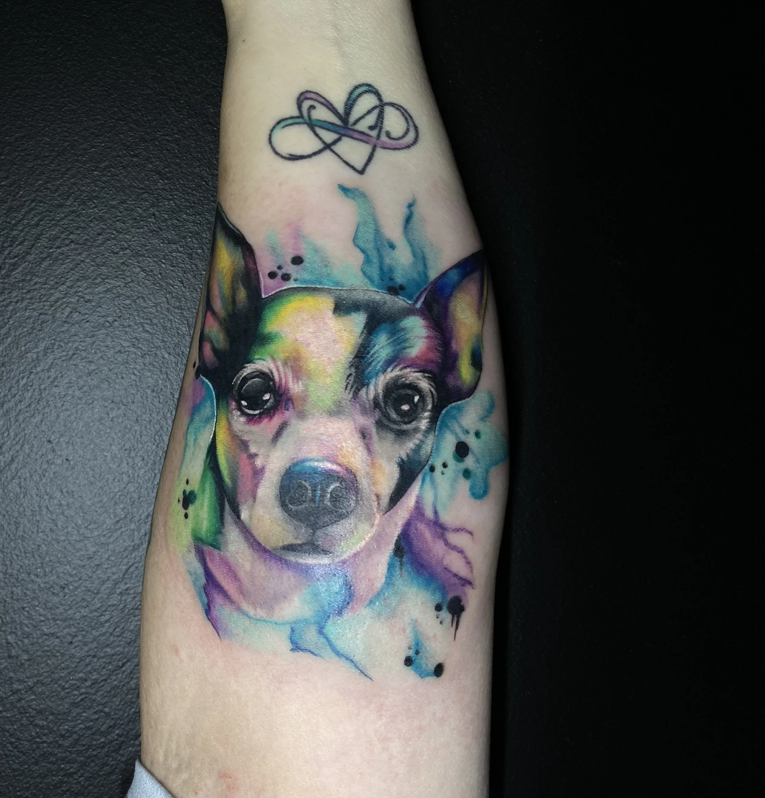 Dog Portrait by Dr.Hudson