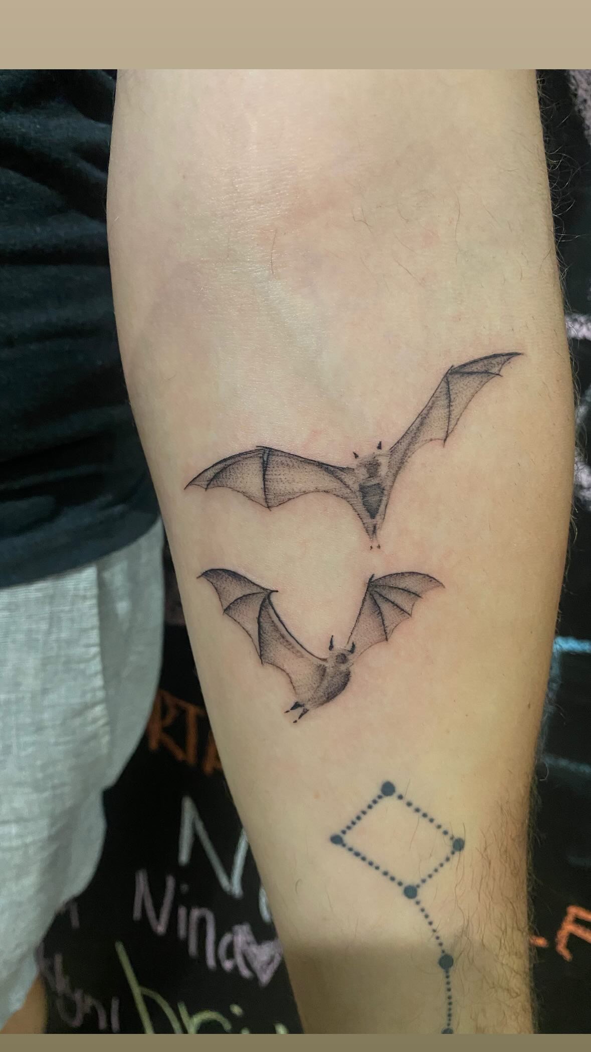Bat Tattoos By Dr. Hudson