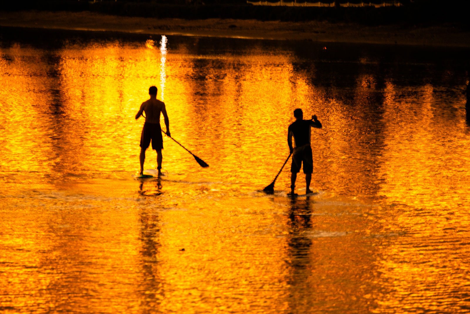 Paddle boarders in Hawaii during sunset.