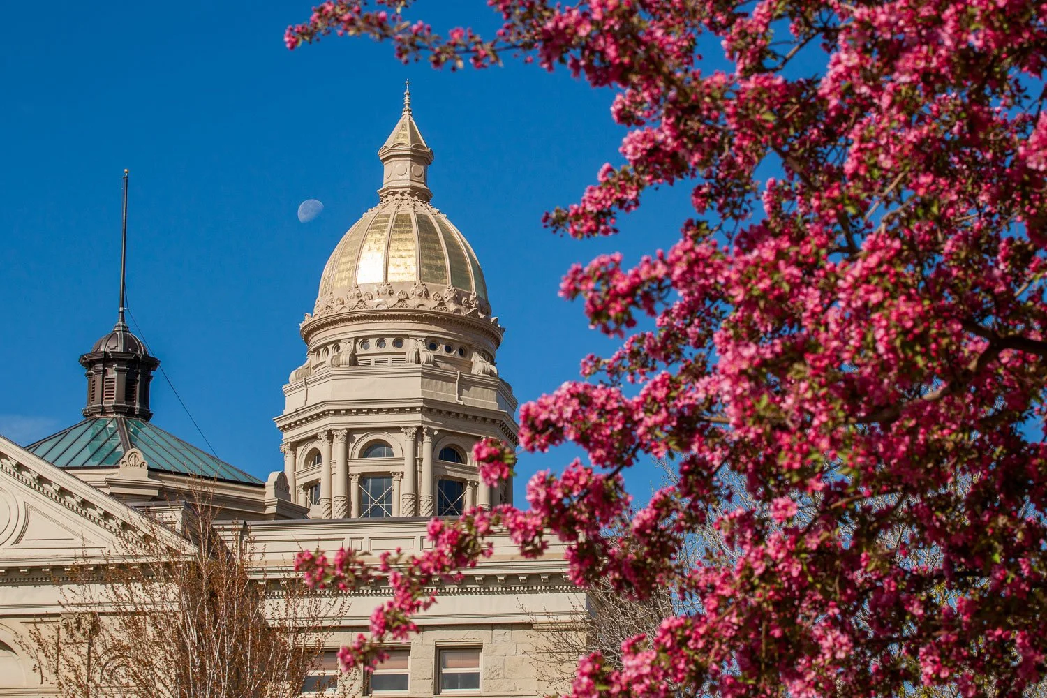The Wyoming Capitol in Cheyenne, Wyoming, during spring.