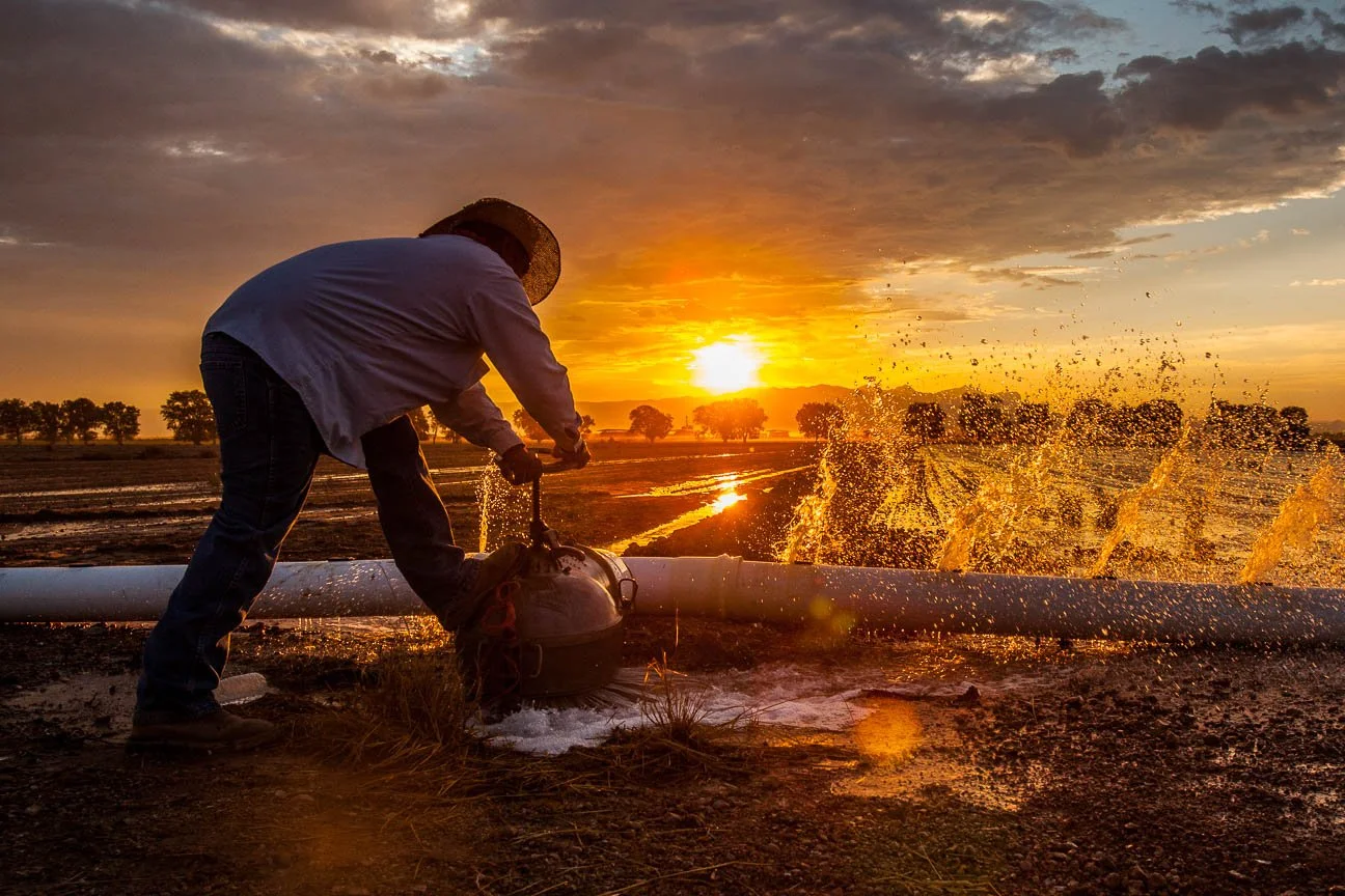 Agriculture Photographer