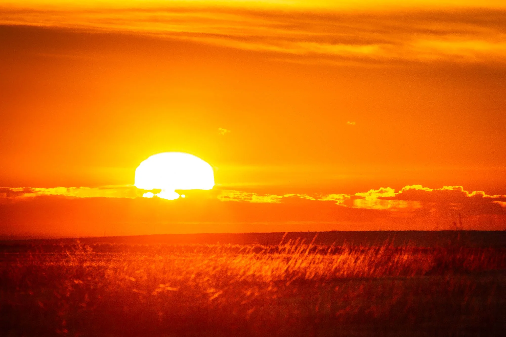 Scenic and Wildlife Photography