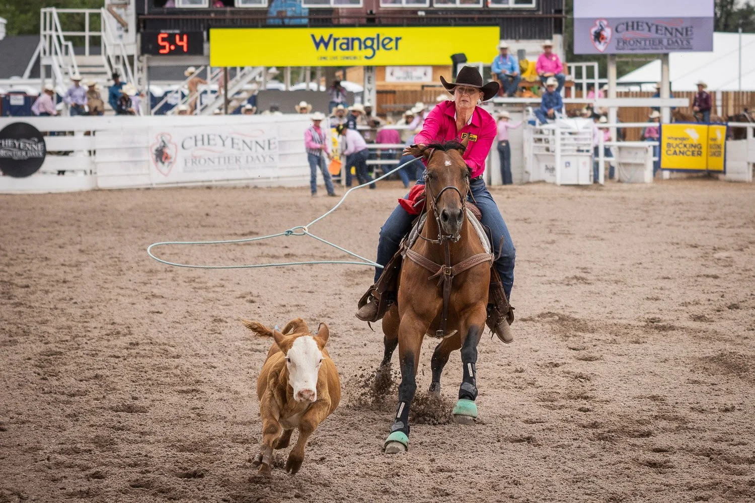 Breakaway roper at Cheyenne Frontier Days in Cheyenne, Wyoming.