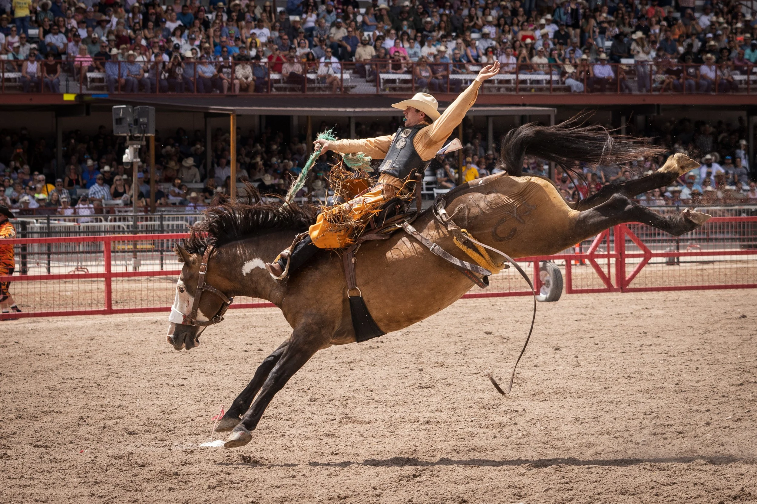 Cheyenne Frontier Days, July 19-28, 2025.