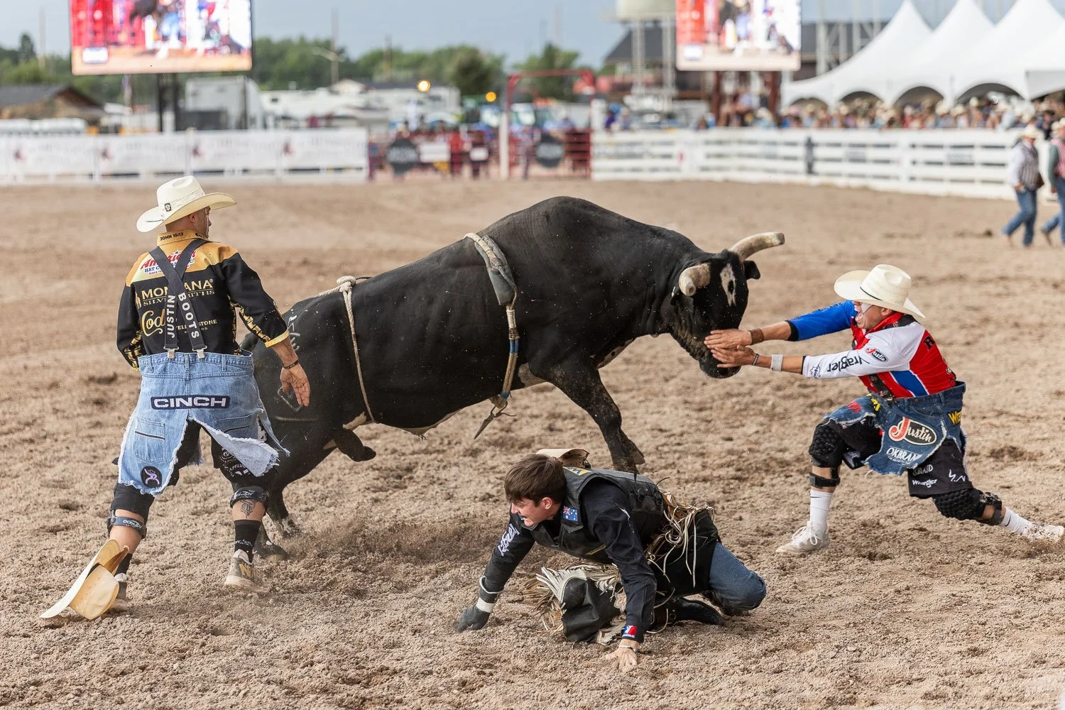 Bull Fighters Dusty Tuckness and Cody Webster jump in to save a bull rider at Cheyenne Frontier Days.
