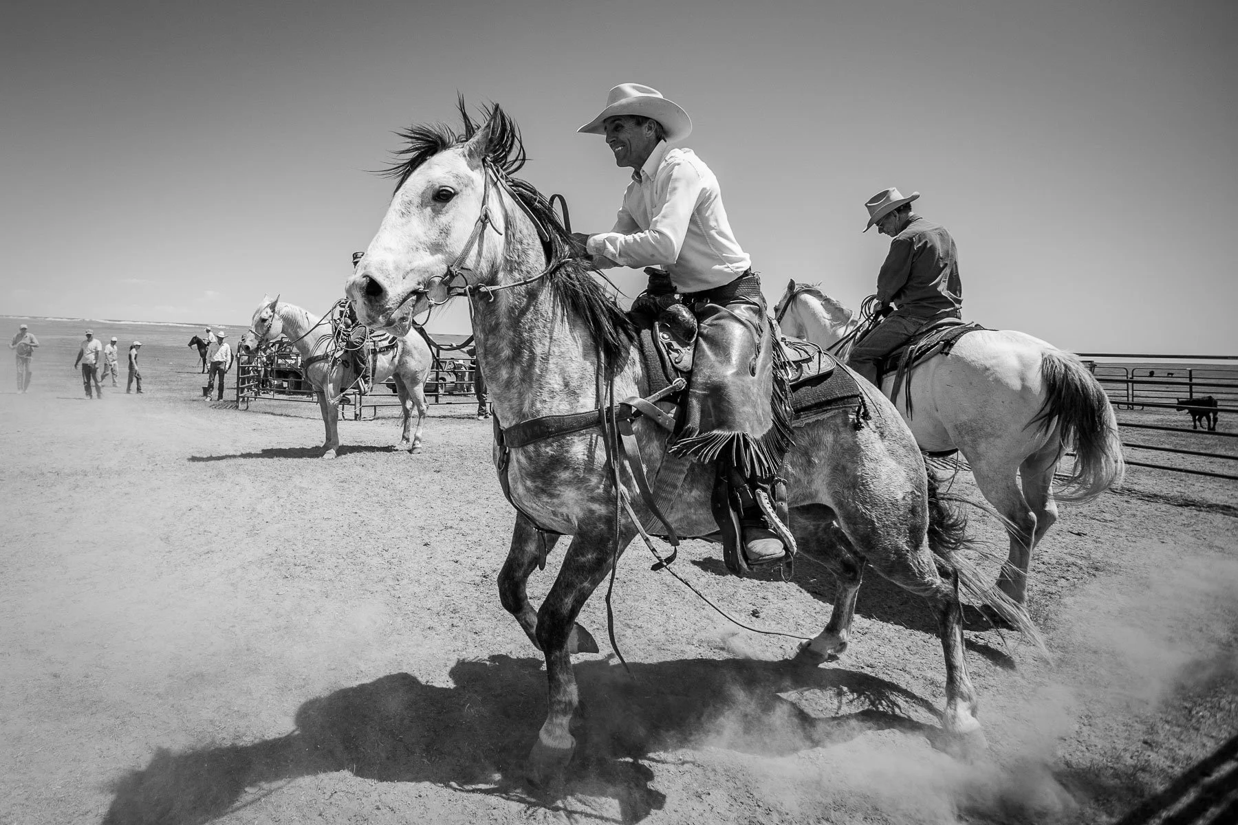 Cowboy rides his young ranch horse at a branding near Grover, Colorado.