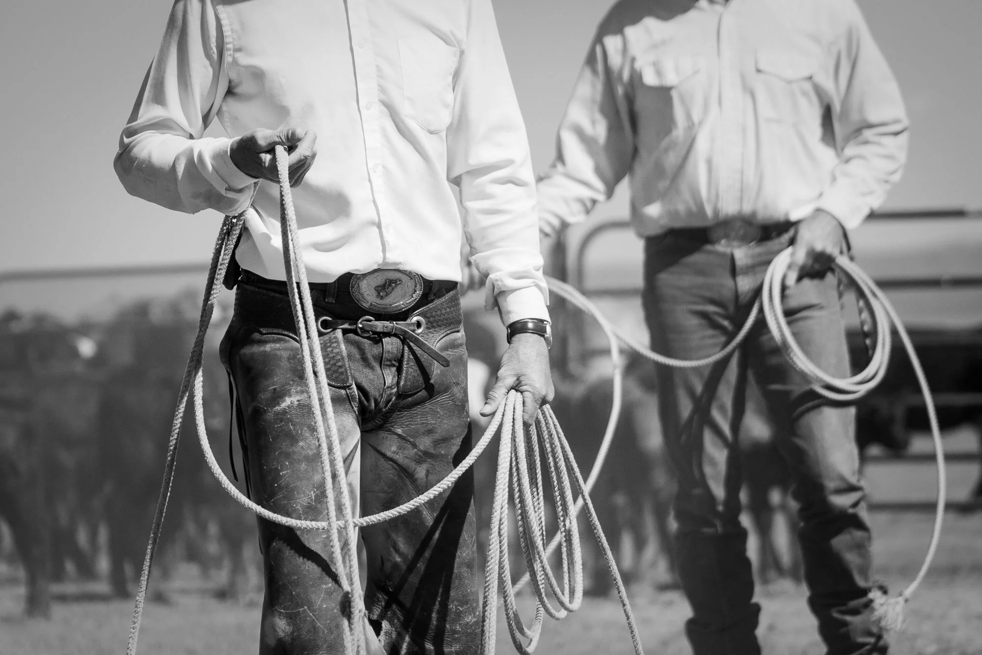 Cowboy's rope at a branding in northern Colorado.