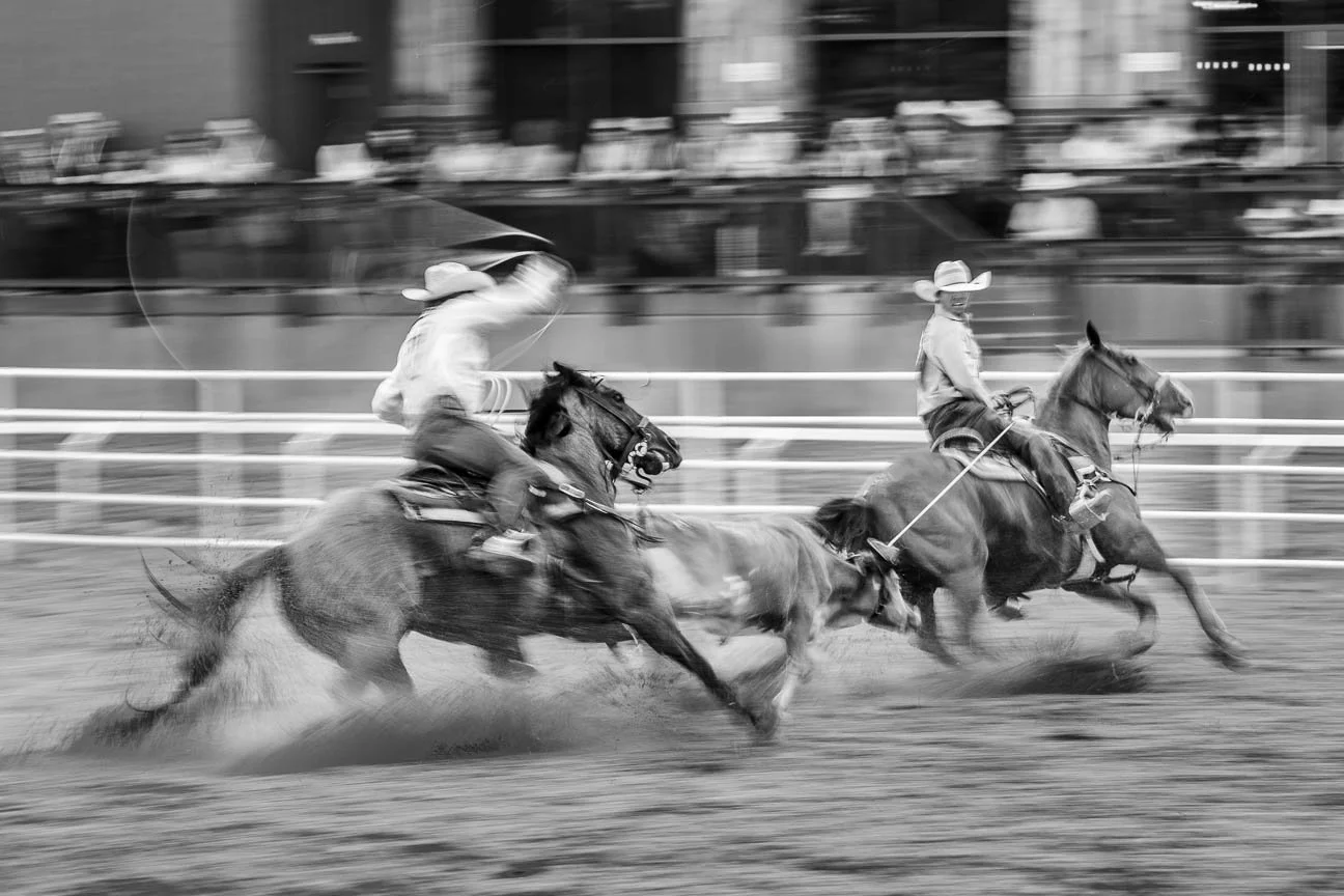 Rodeo Photographer in Cheyenne, Wyoming.