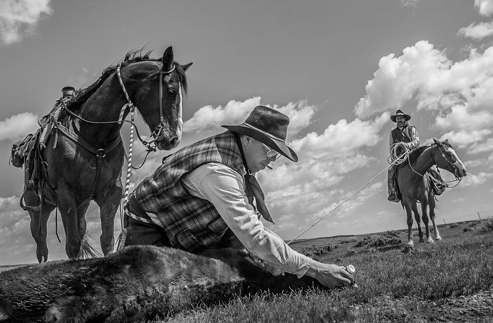 Cowboys doctering a sick yearling steer at the Overland Trail Cattle Company in Saratoga, Wyoming. Photography created for America 24-7 Photography, May 12 - 18, 2003.