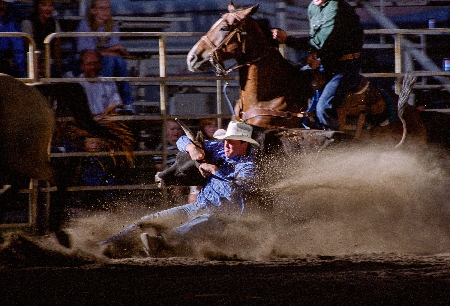 Rodeo cowboy wrestles his steer at the Wyoming Rodeo Association Finals in Pine Bluffs, Wyoming.