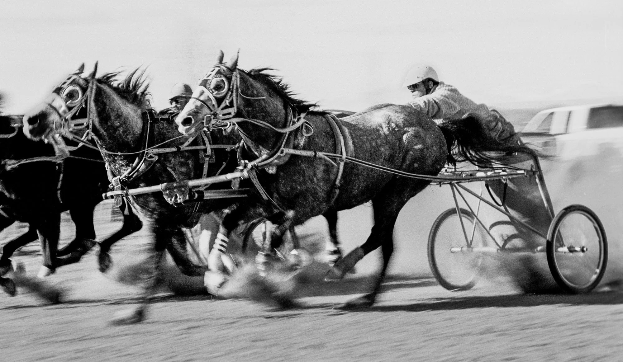 Chariot races in Riverton, Wyoming. Wyoming Travel Photography.