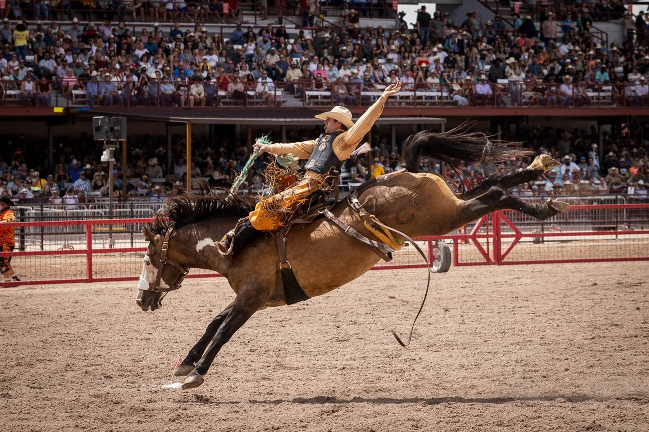 Rodeo photographer in Cheyenne, Wyoming.