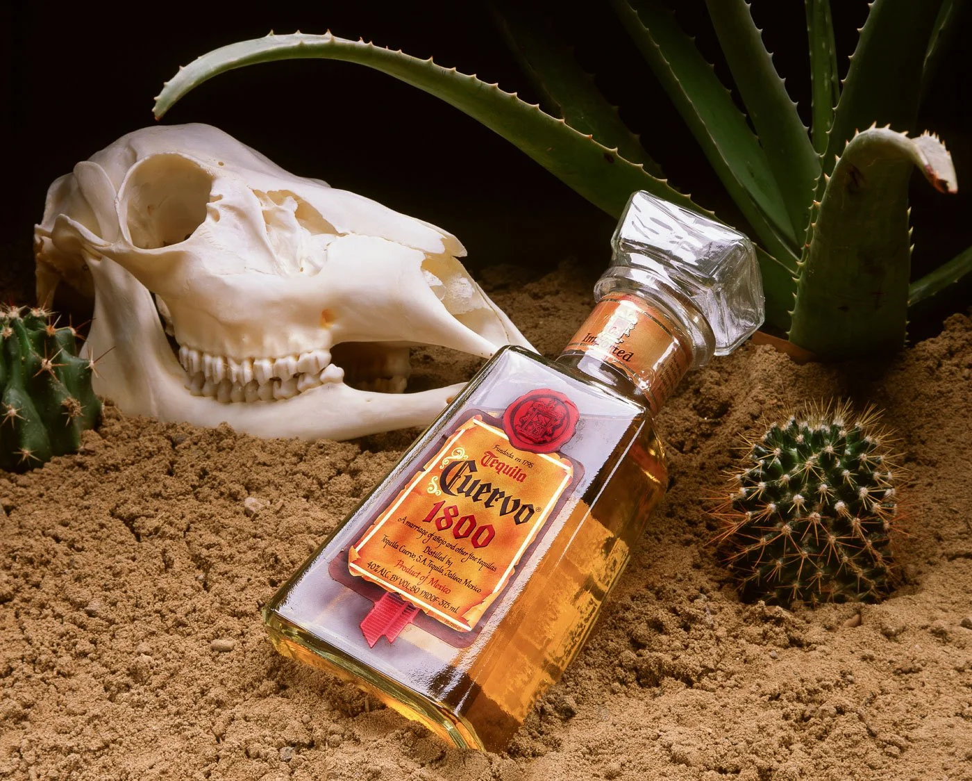 Photography illustration, Tequila product, and photo illustration for marketing.
