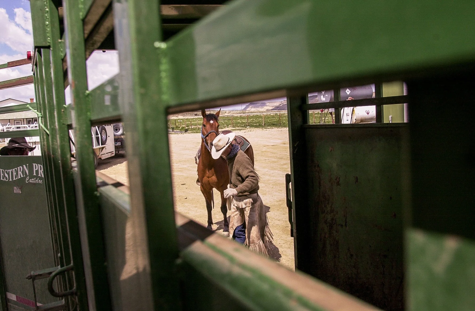 Cowboy loads his horse into a horse trailer at the Overland Trail Cattle Company in Saratoga, Wyoming.