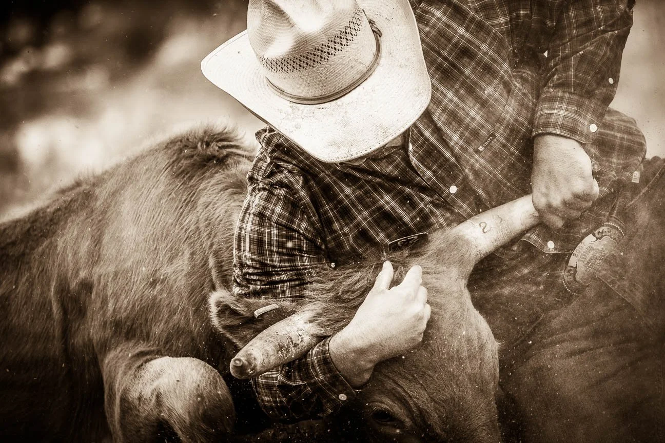 Rodeo Photographer in Casper, Wyoming