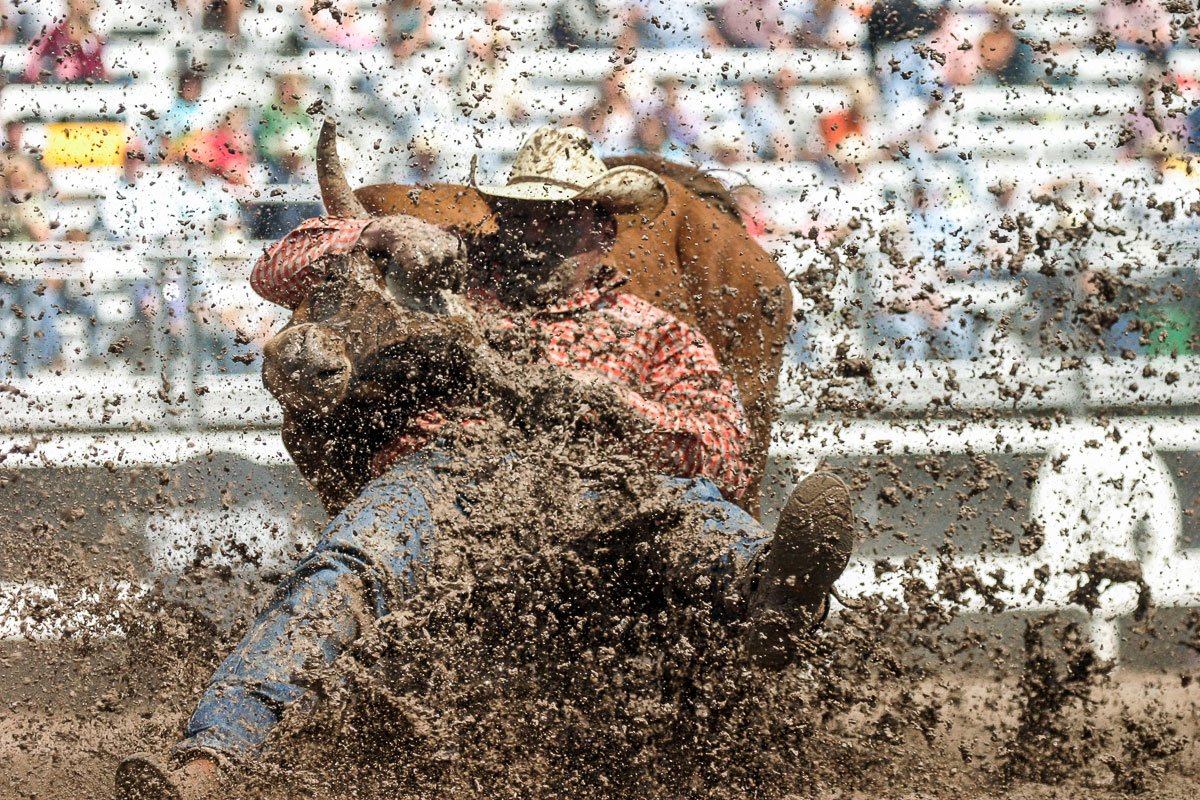 KC Jones wrestles his steer in the mud at Cheyenne Frontier Days Rodeo in Cheyenne, Wyoming.