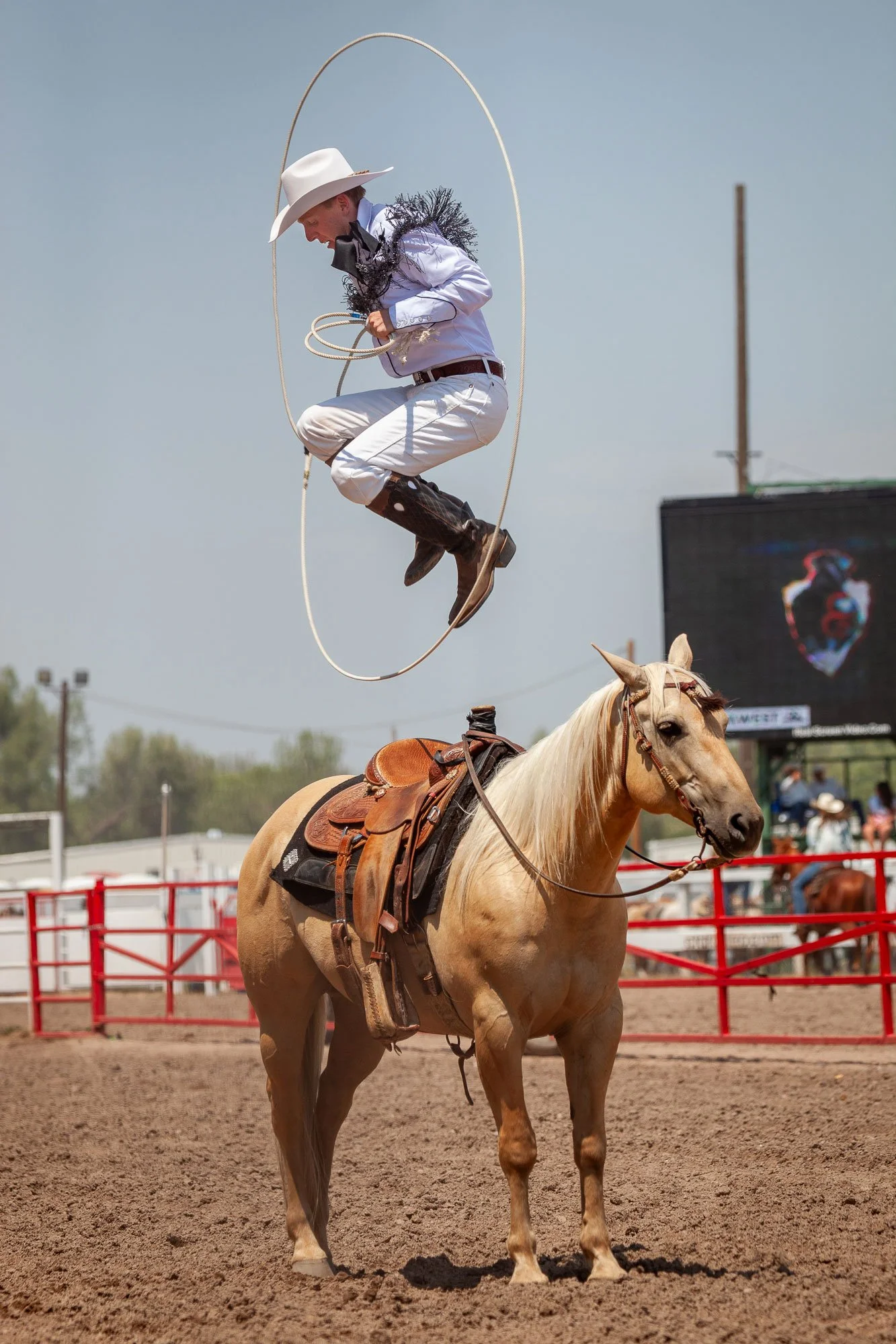 A cowboy trick ropes at the Cheyenne Frontier Days rodeo in Cheyenne, Wyoming.
