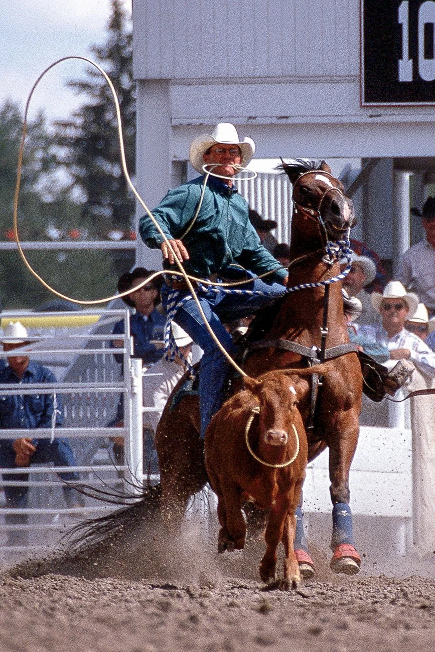 Paul Teirney in the tie-down roping at Cheyenne Frontier Days.